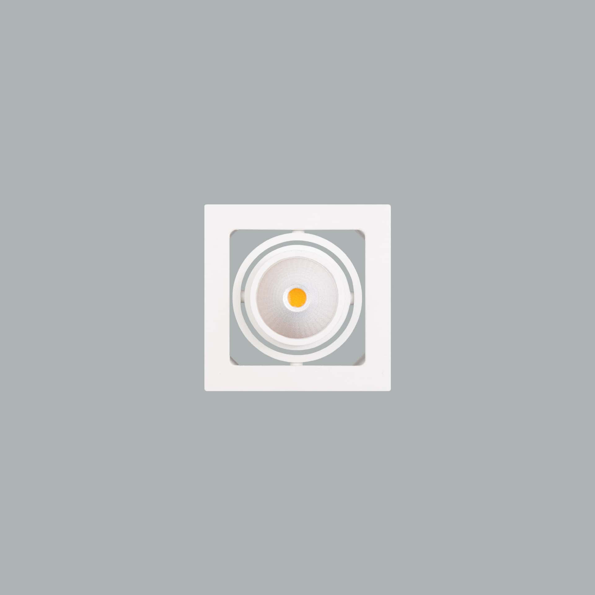 Gizmo Focus - image 5