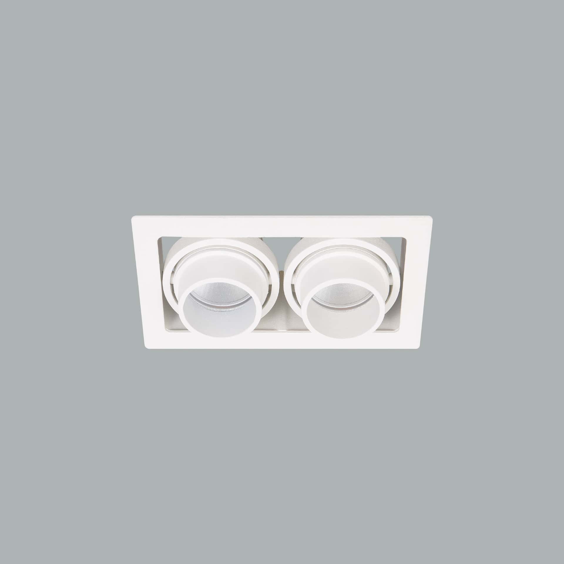 Gizmo Focus - image 2