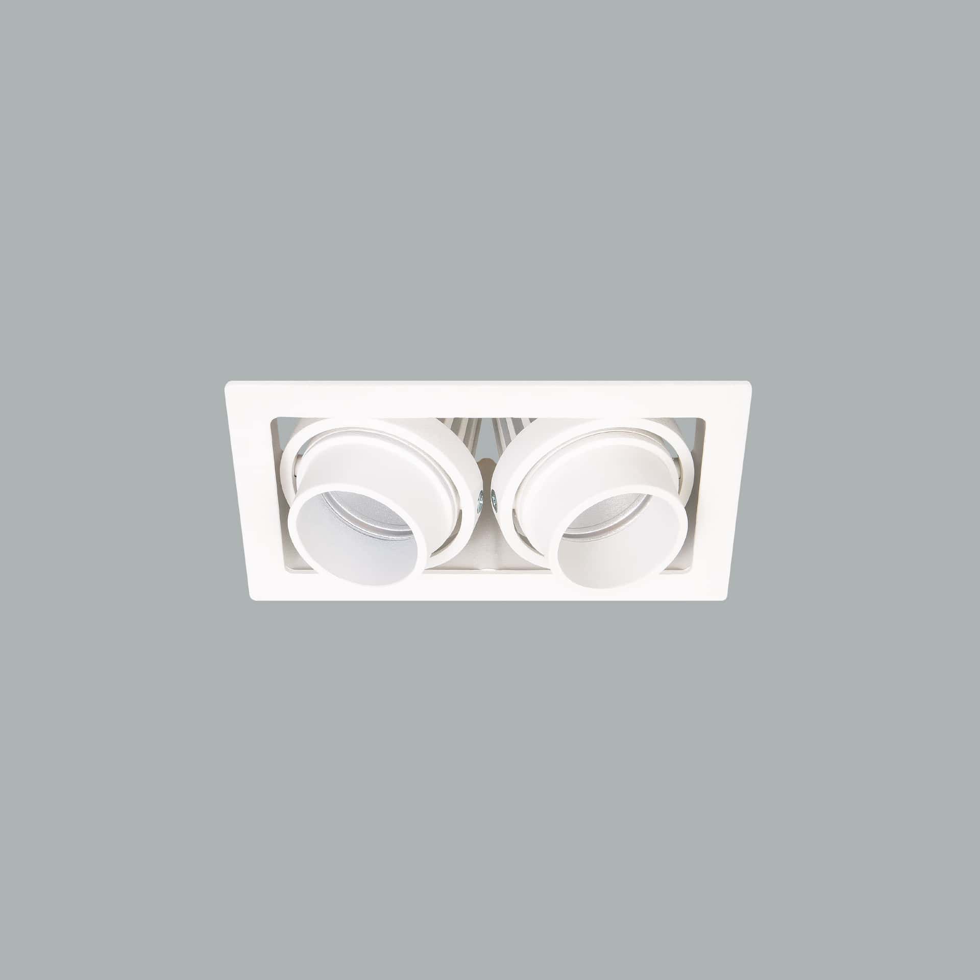 Gizmo Focus - image 3