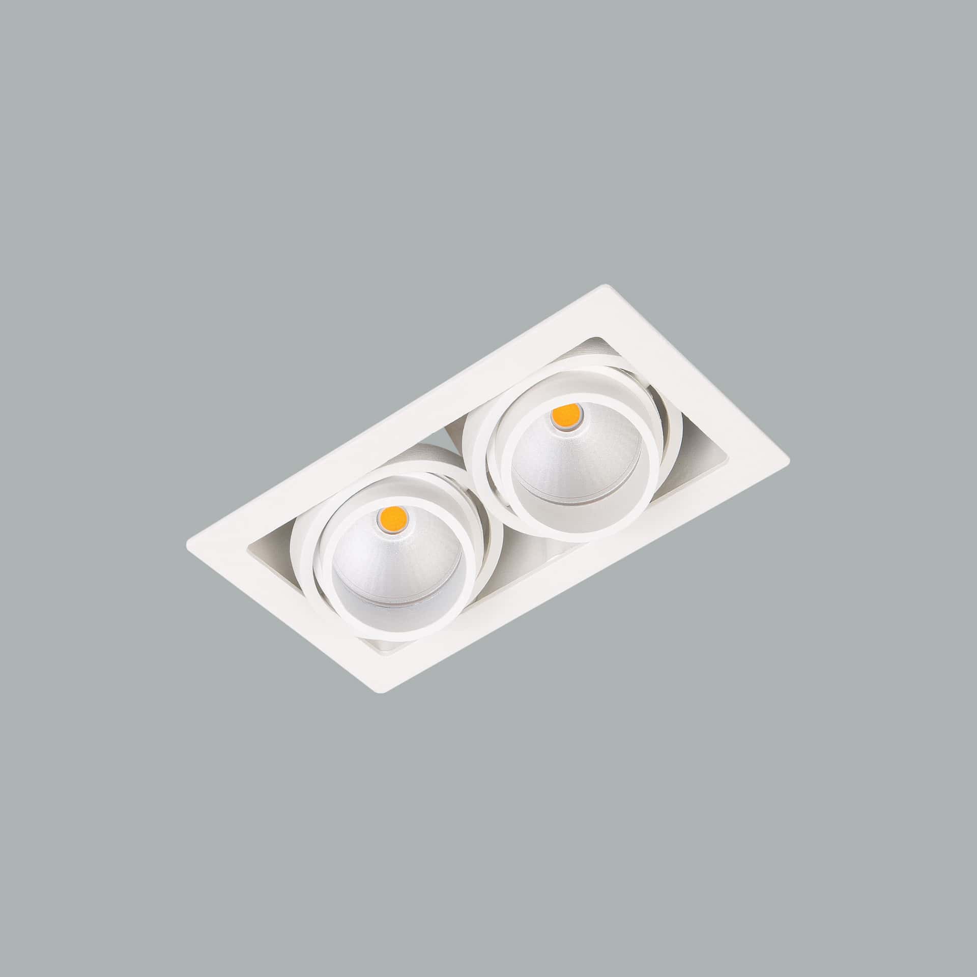 Gizmo Focus - image 4