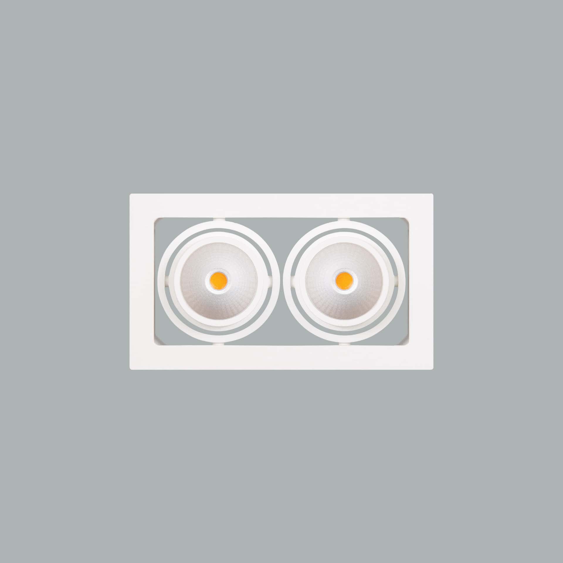 Gizmo Focus - image 5