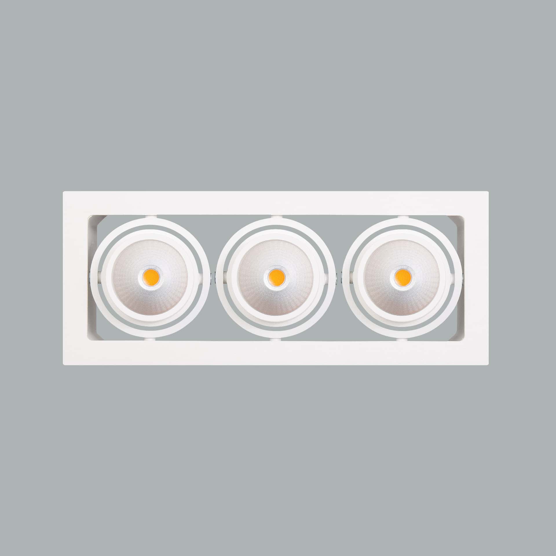 Gizmo Focus - image 5