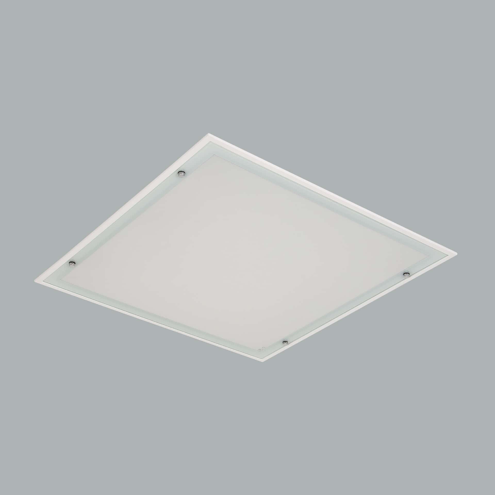 Steril - image 4