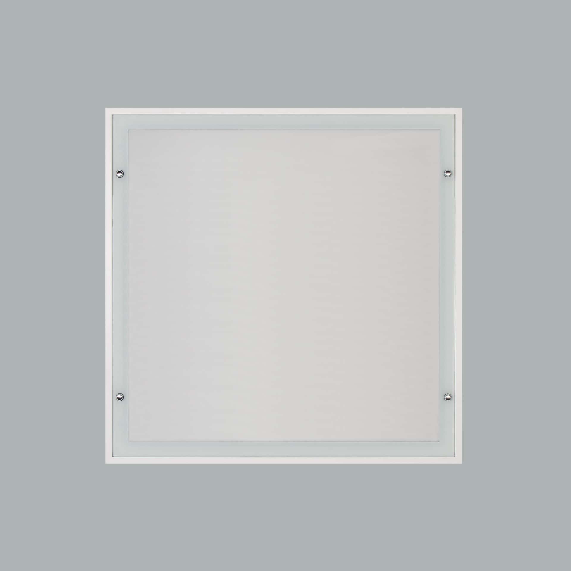 Steril - image 5
