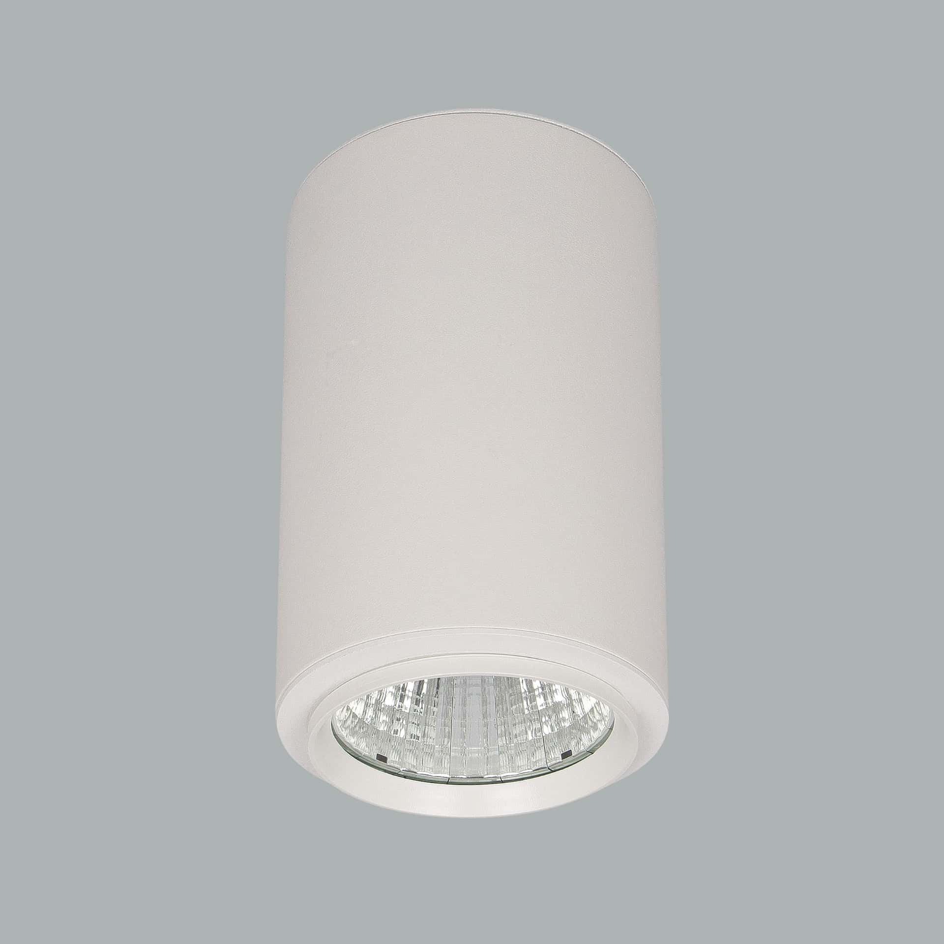 Pipa Maxi - image 2