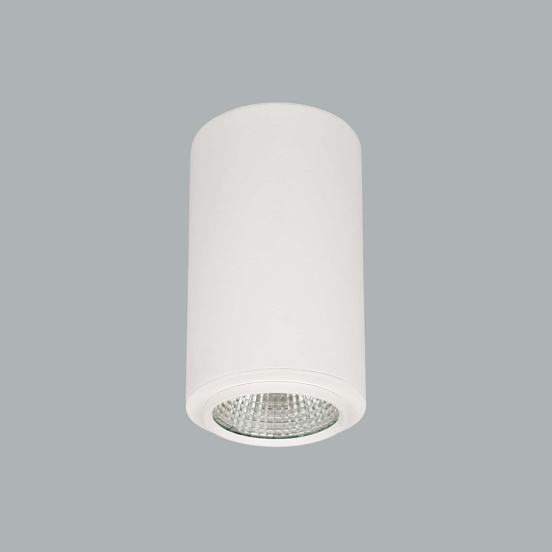 Pipa - image 2