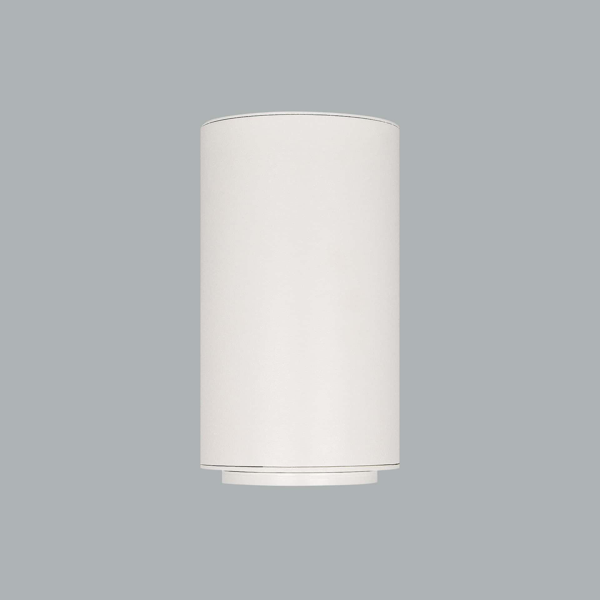 Pipa - image 4