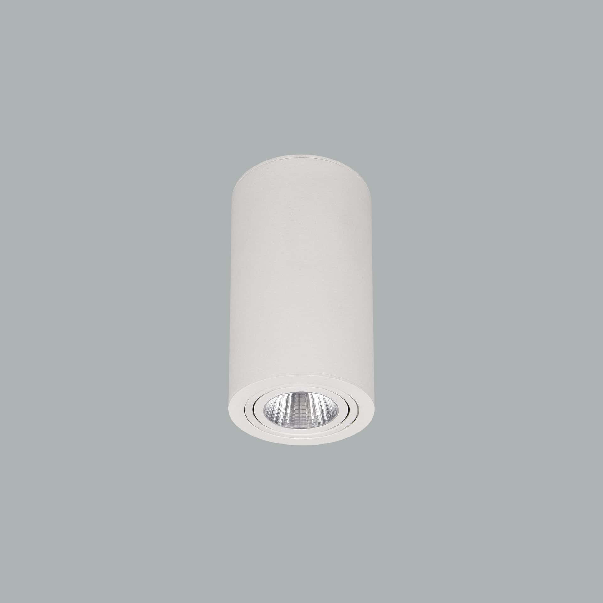 Pipa Midi - image 2