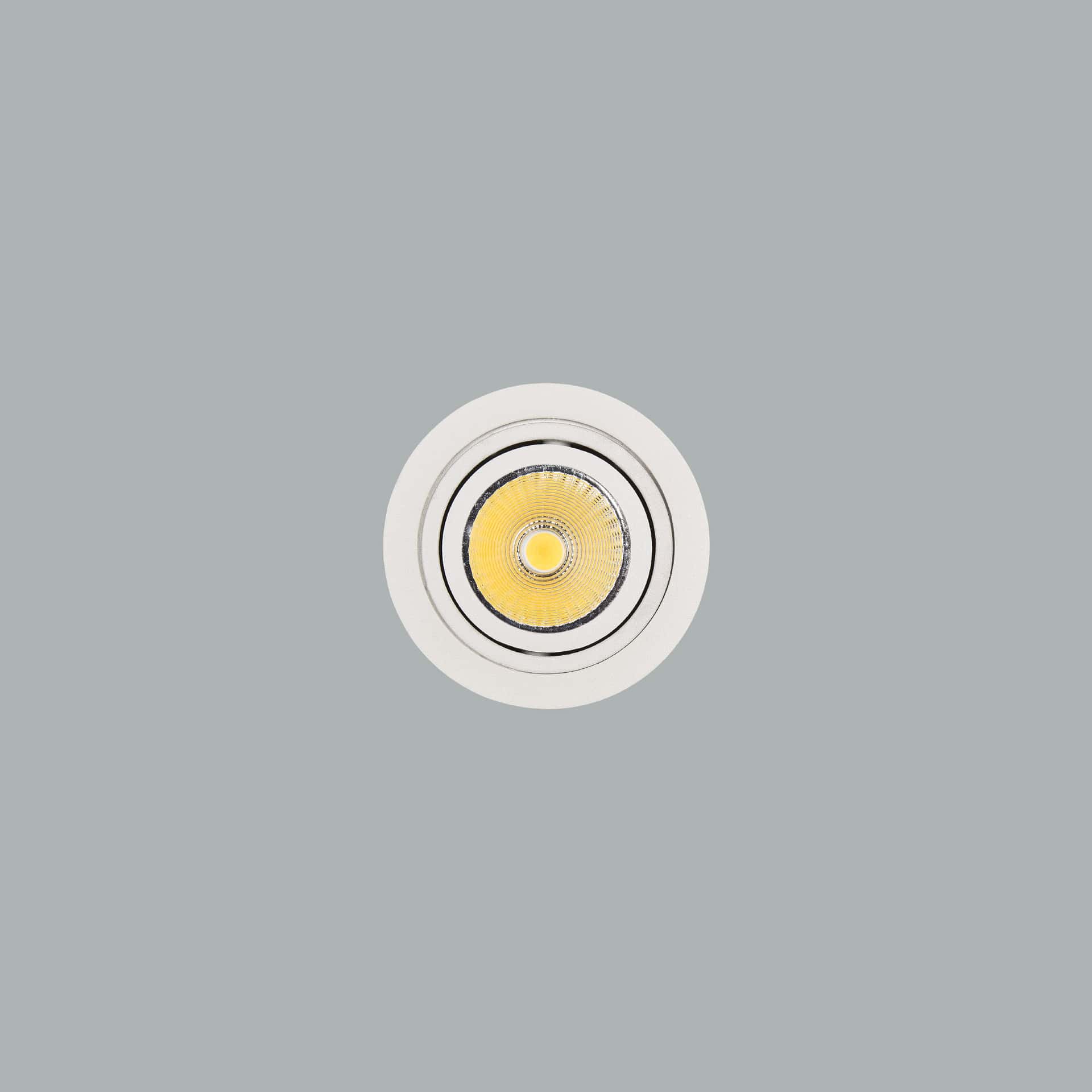 Pipa Midi - image 3