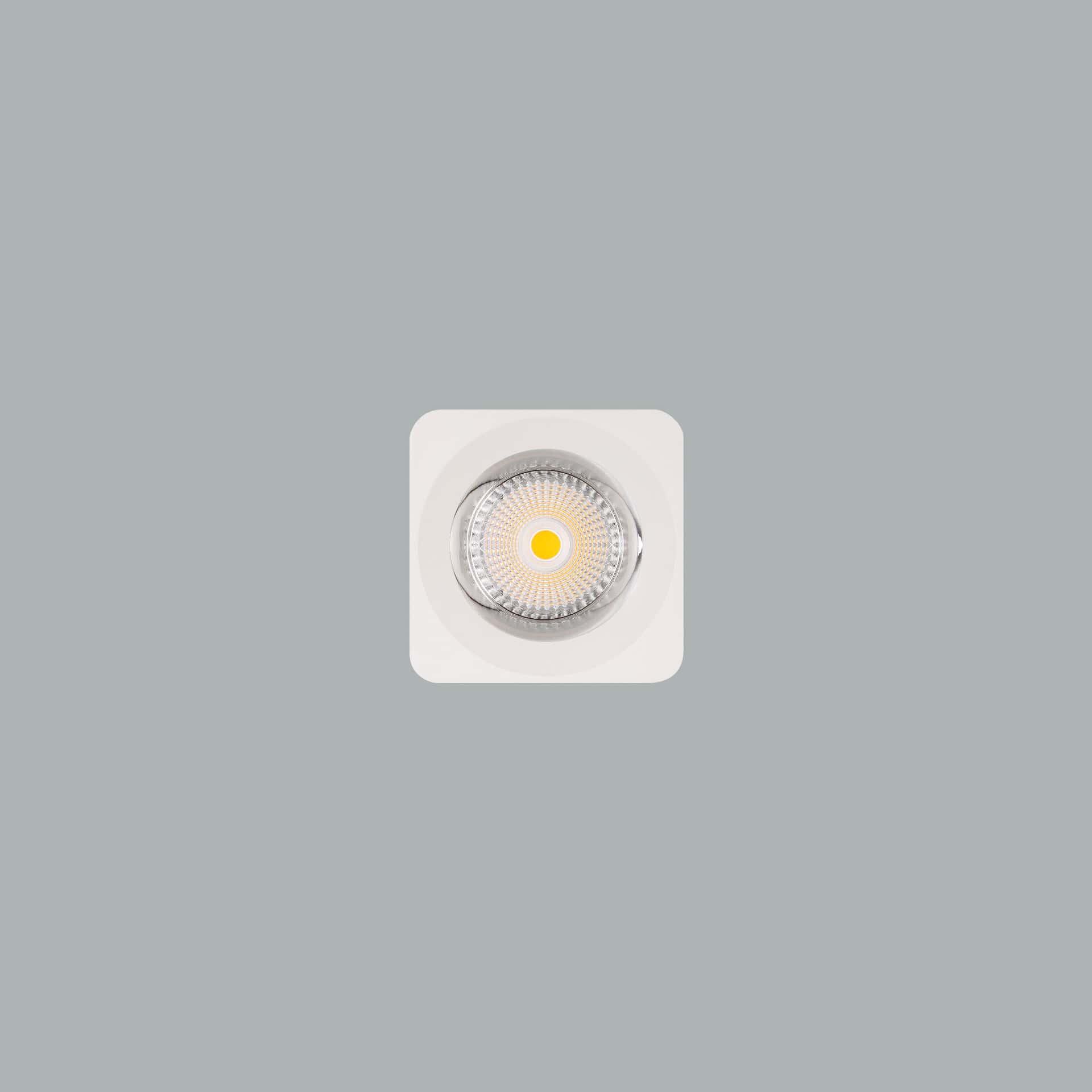 Venus Micro - Bild 5