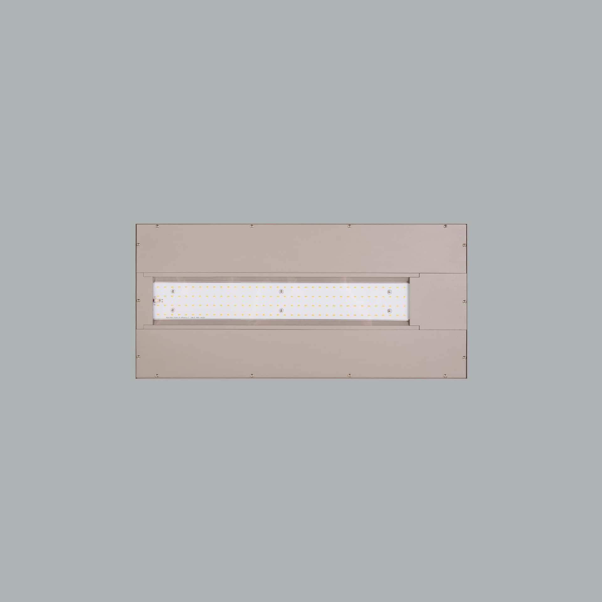 Ege - image 4