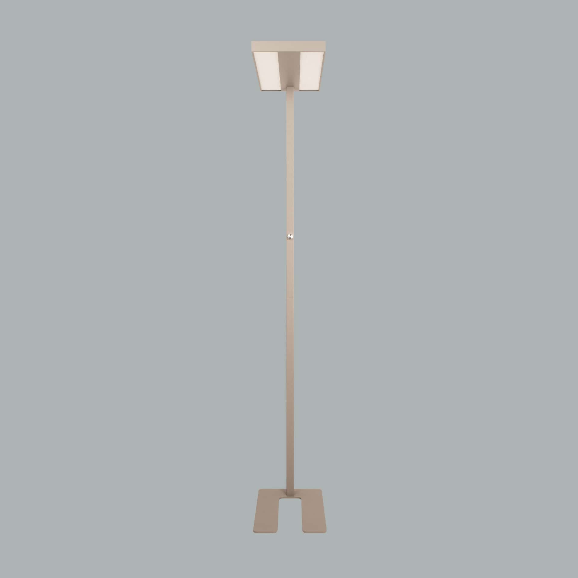Ege - image 12