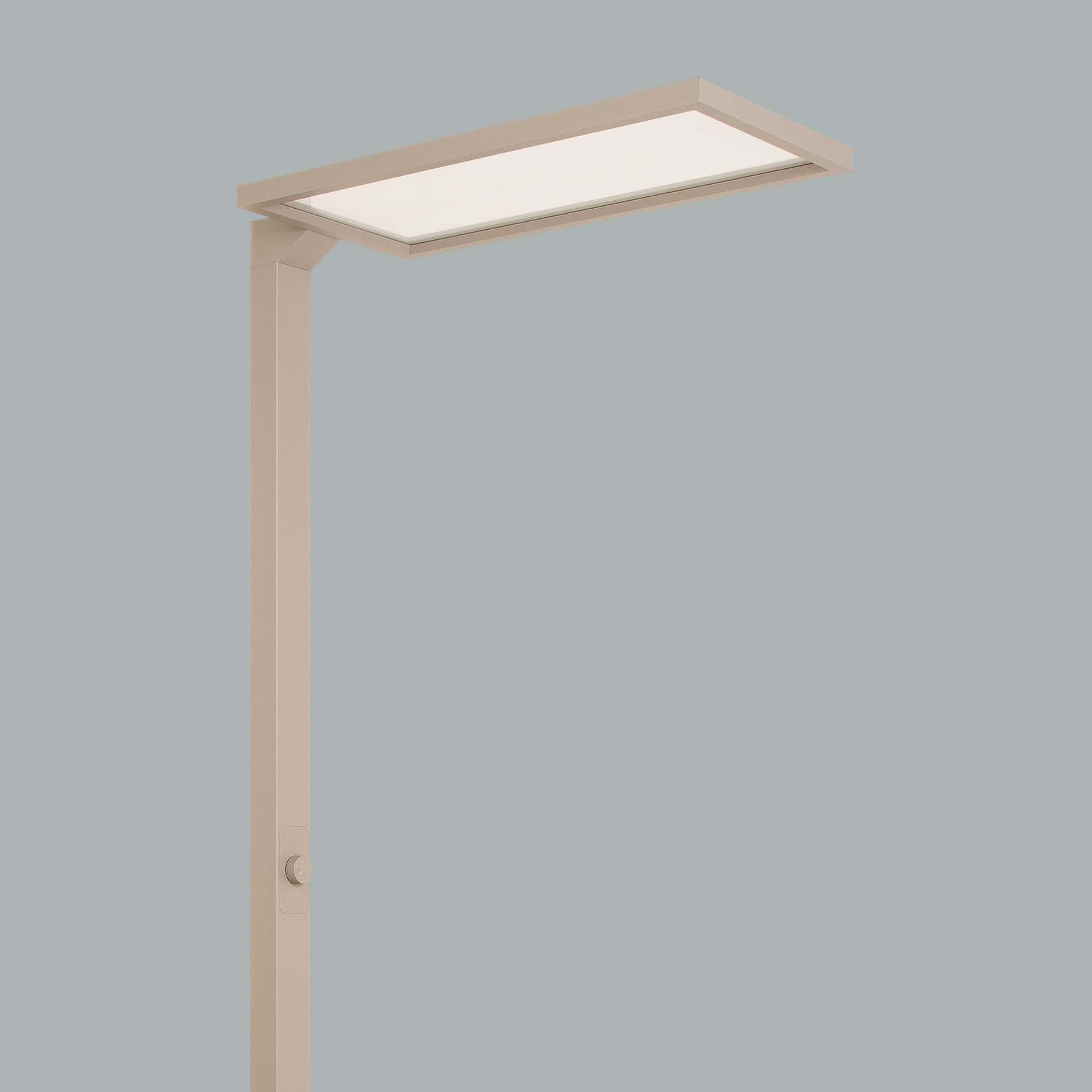 Ege - image 7