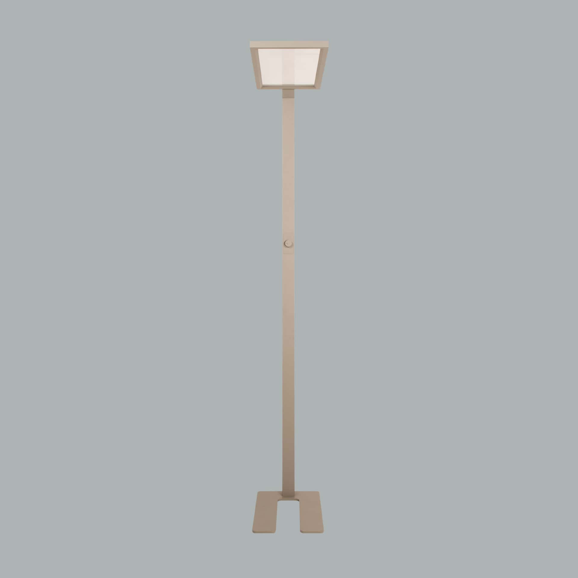 Ege - image 12