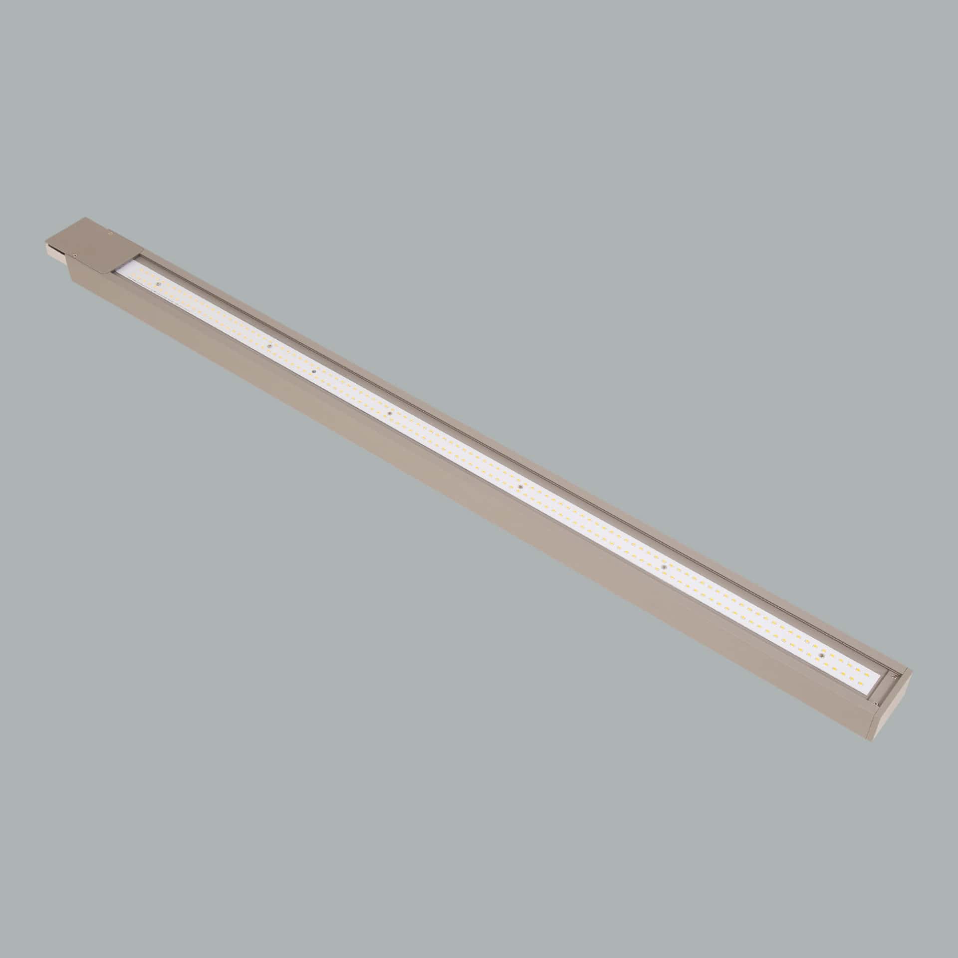 Ege - image 2