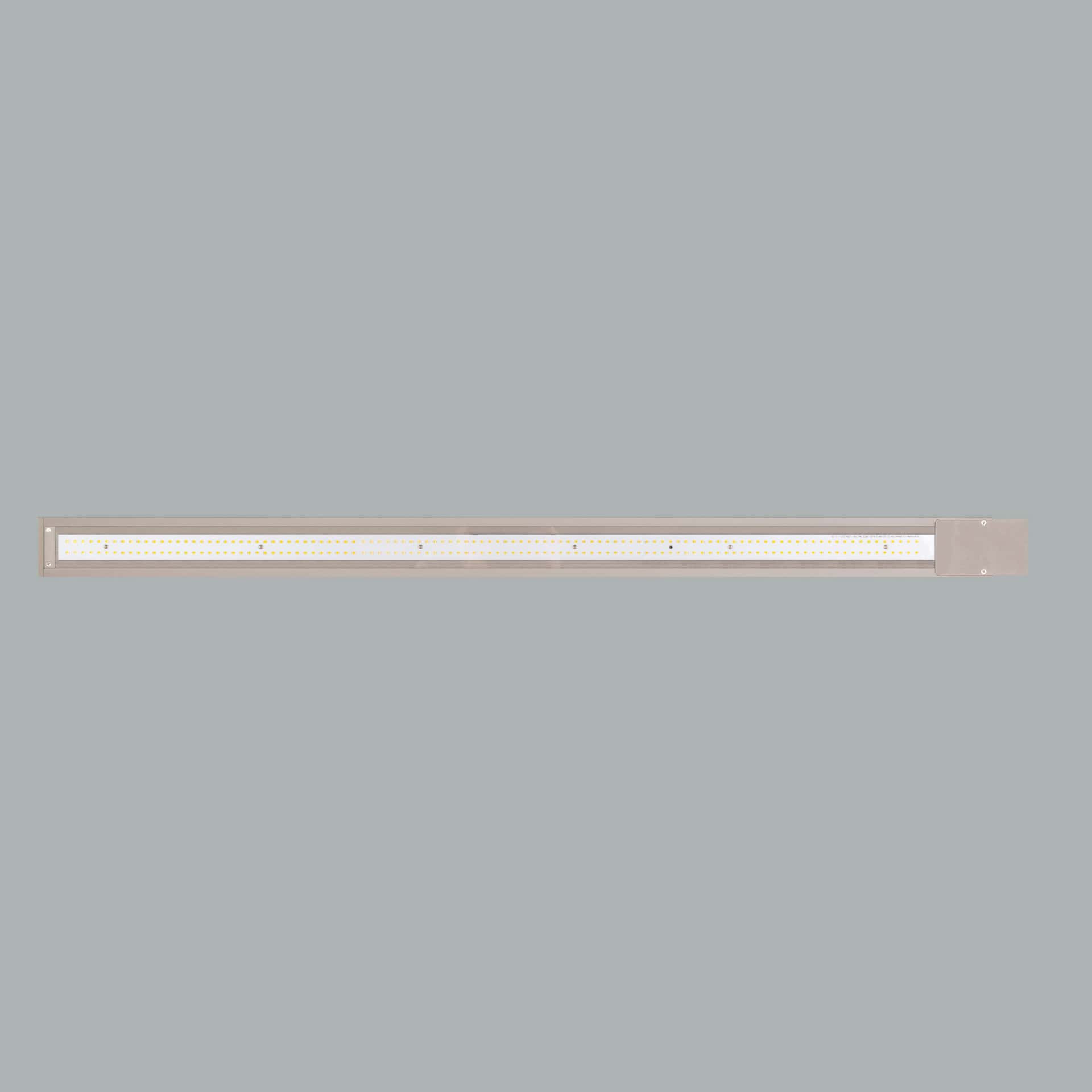 Ege - image 4