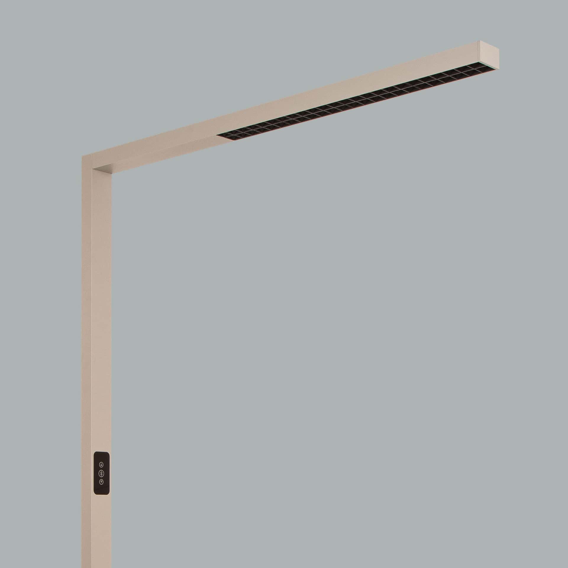 Ege - image 10