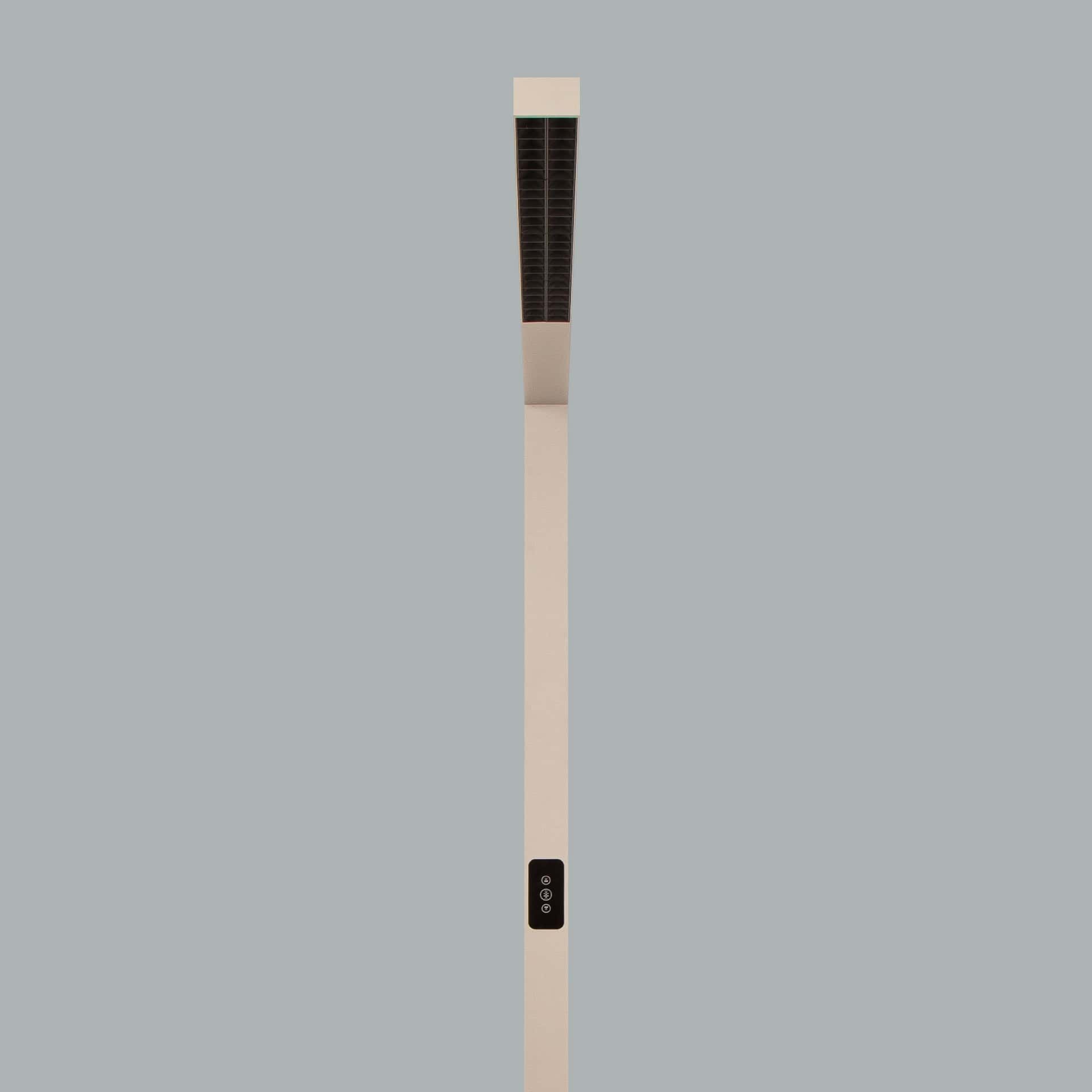 Ege - image 16