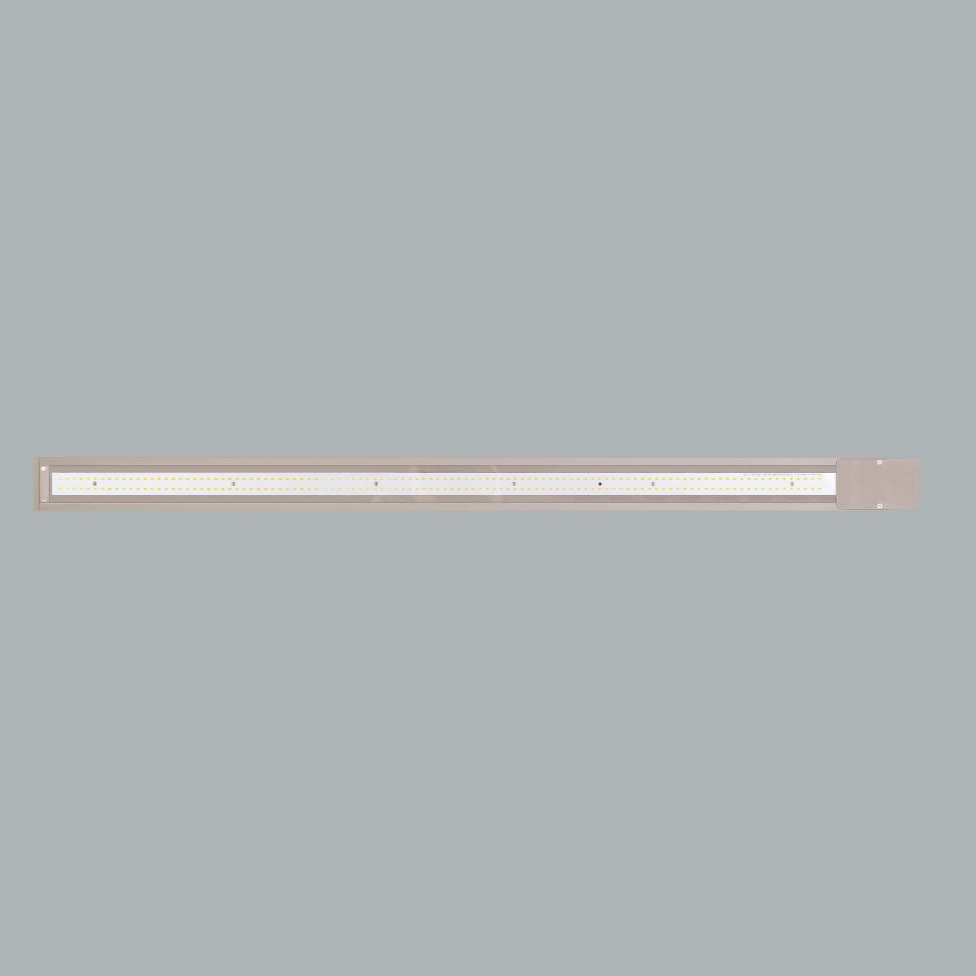 Ege - image 4