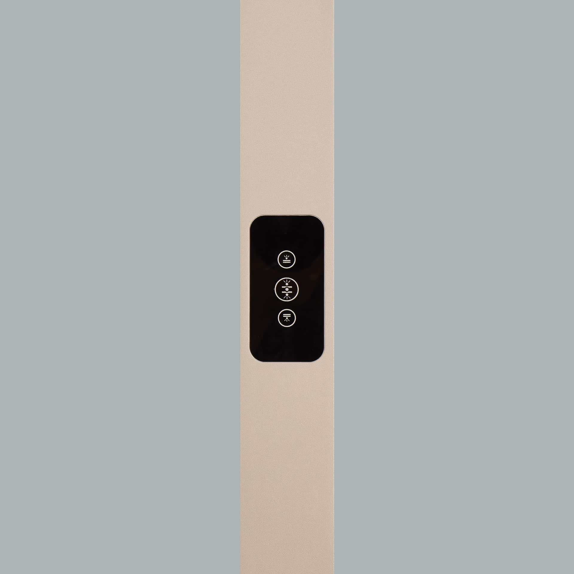 Ege - image 8