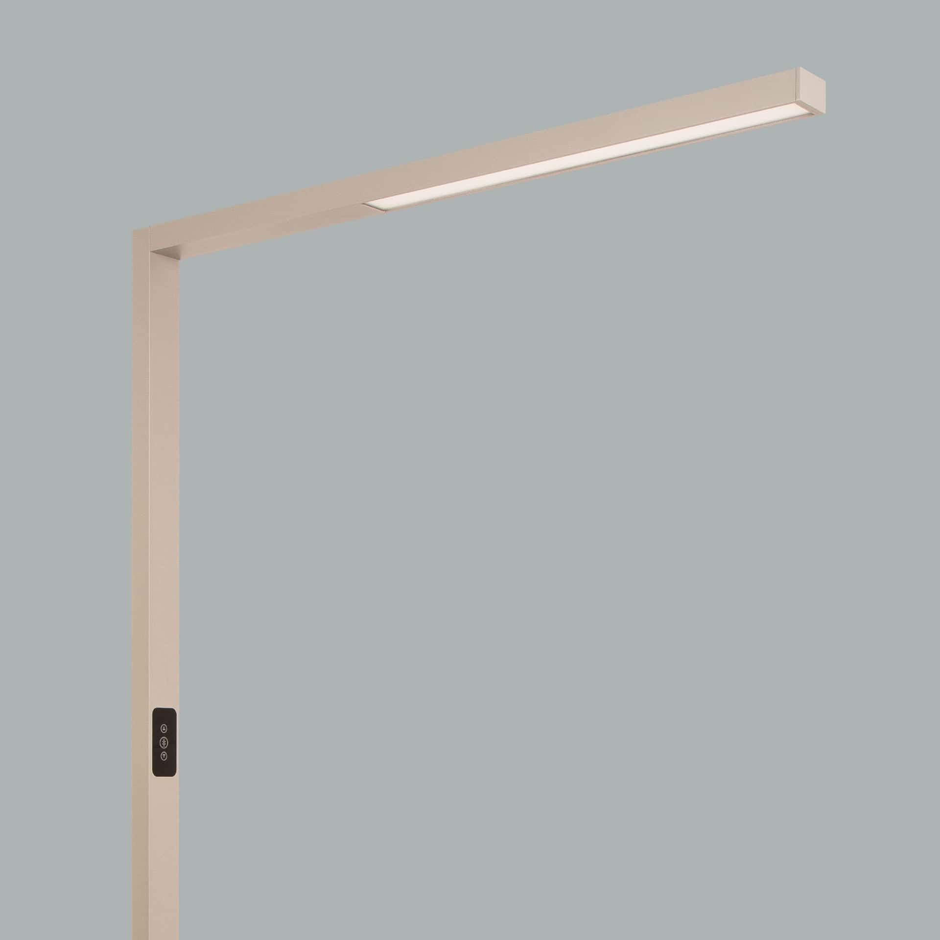 Ege - image 10