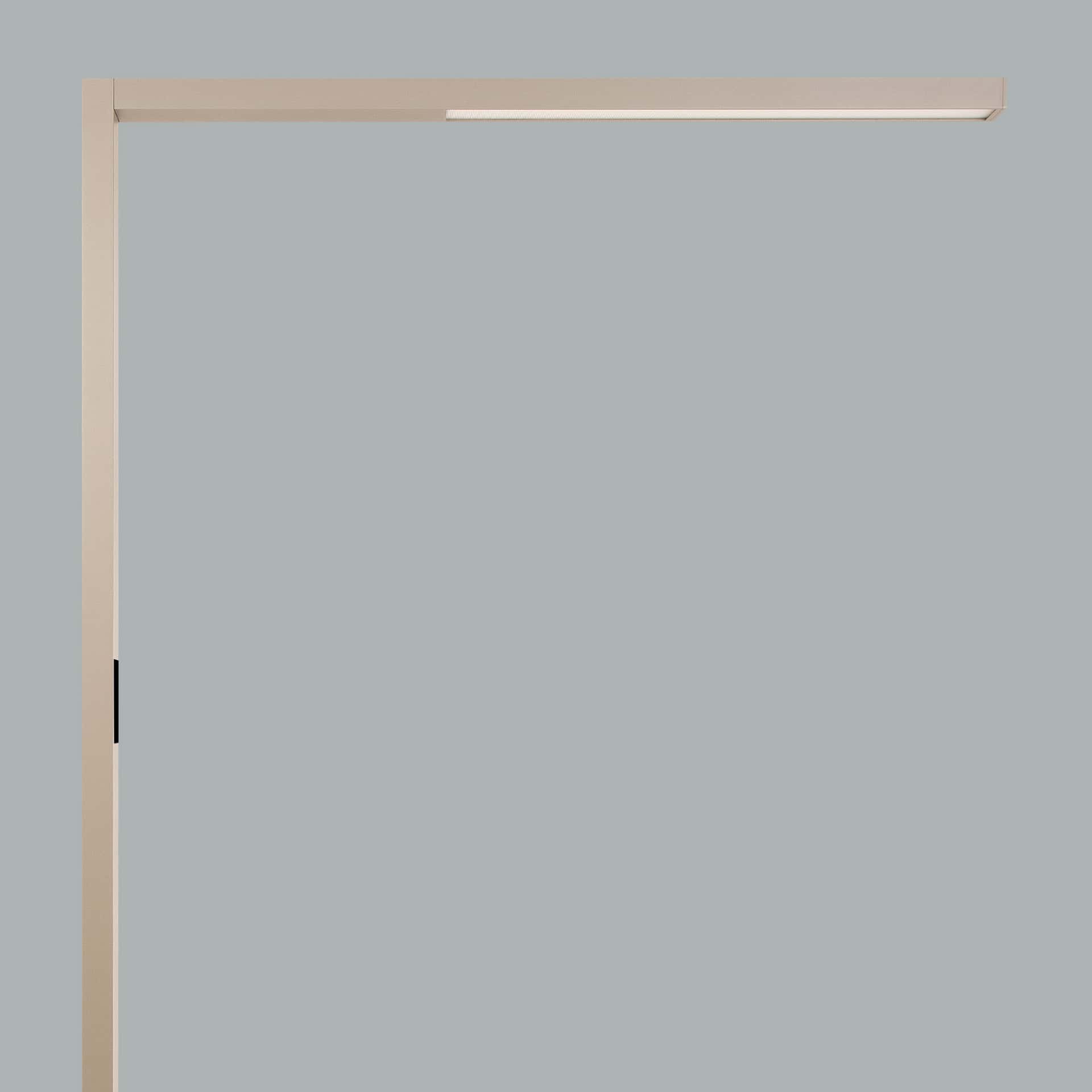 Ege - image 11