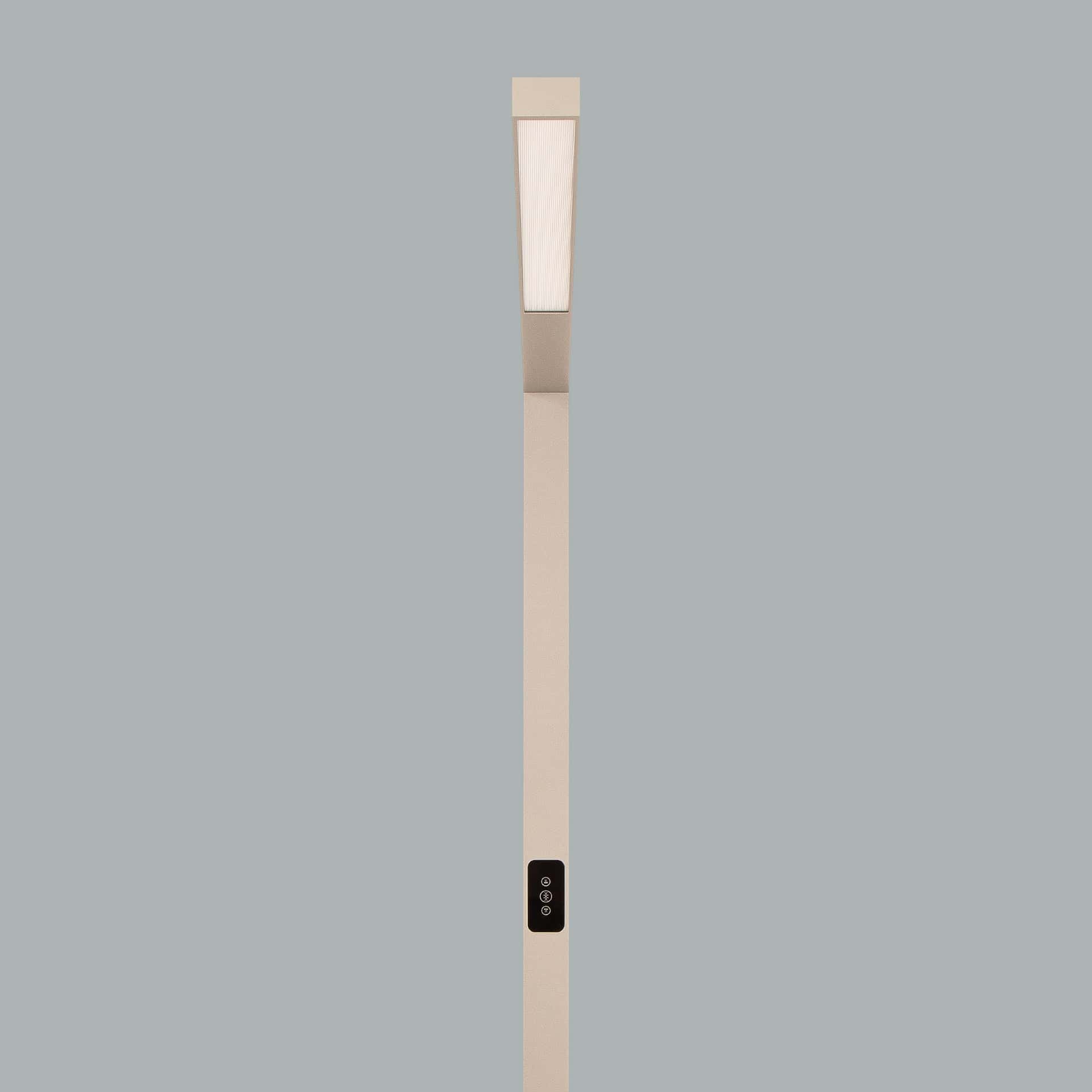 Ege - image 16