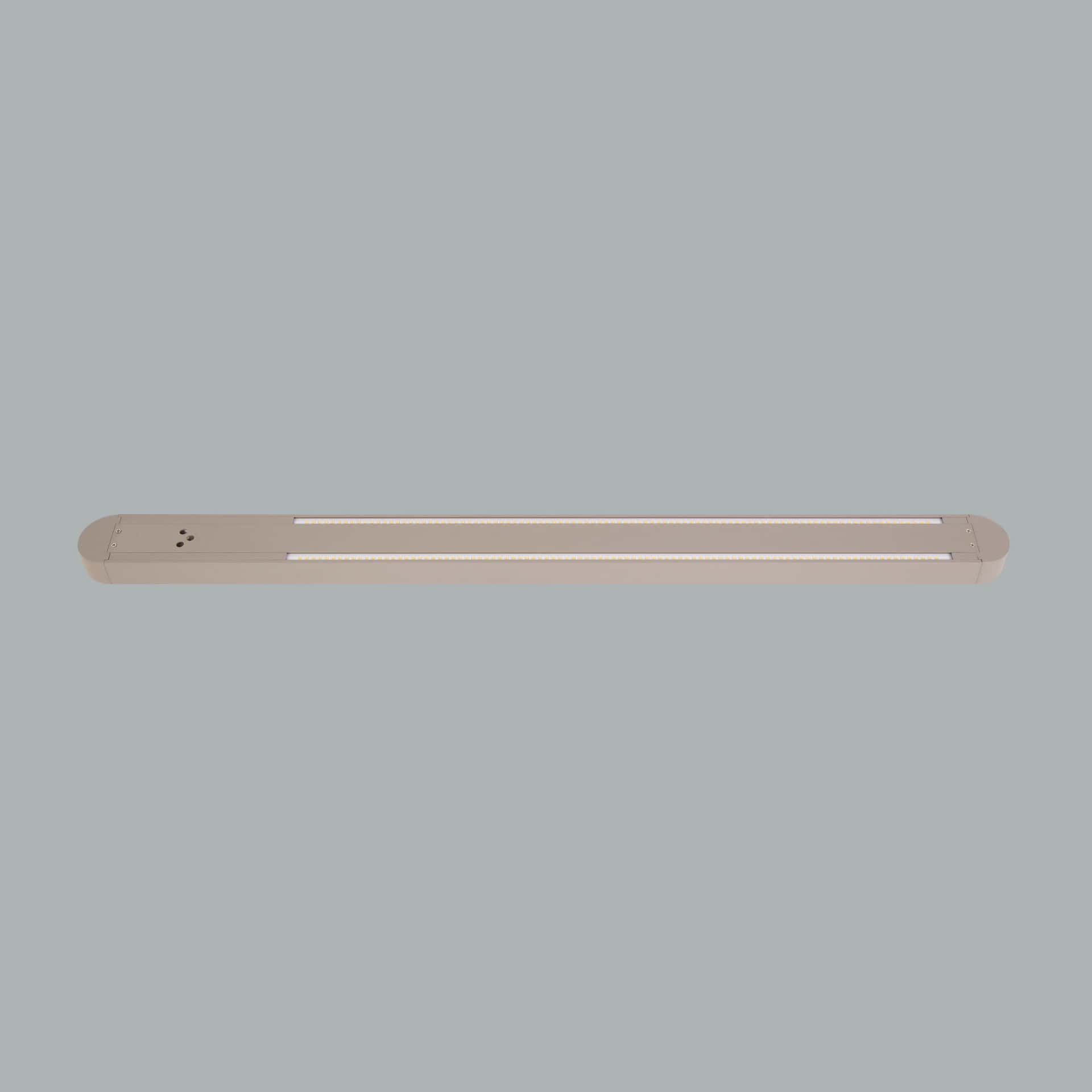 Ege - image 4