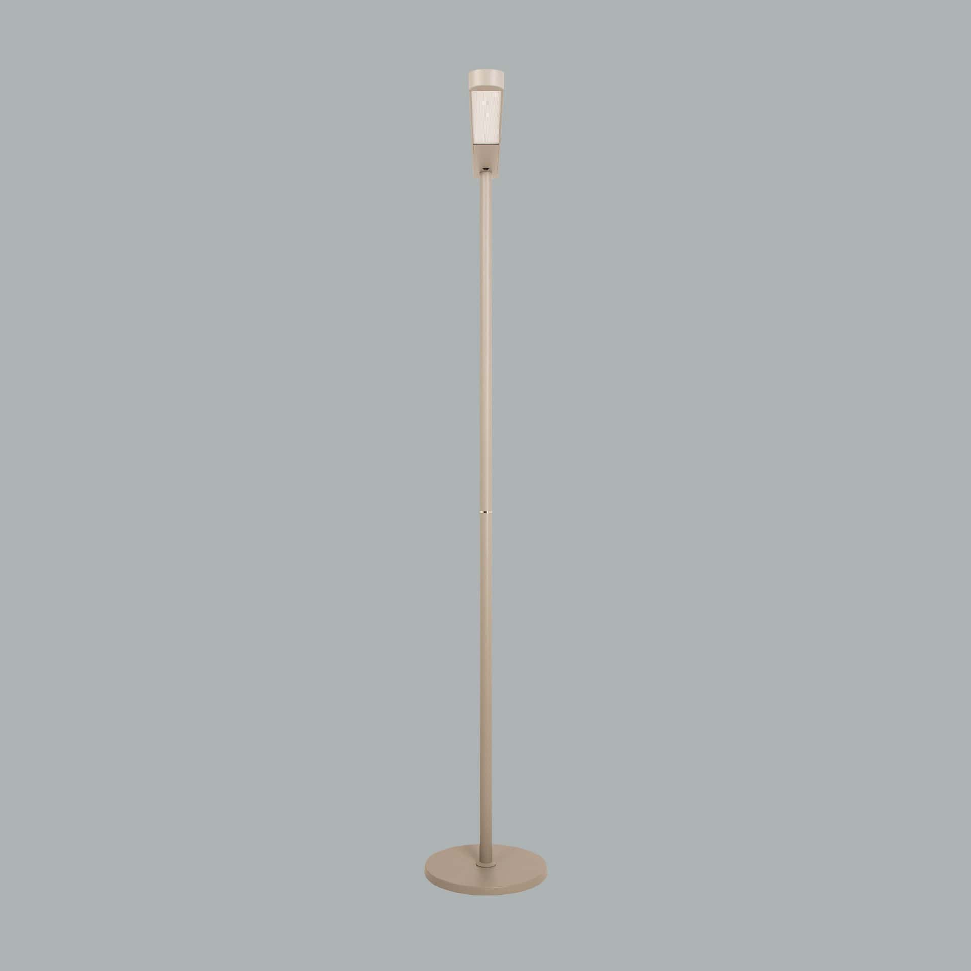 Ege - image 10