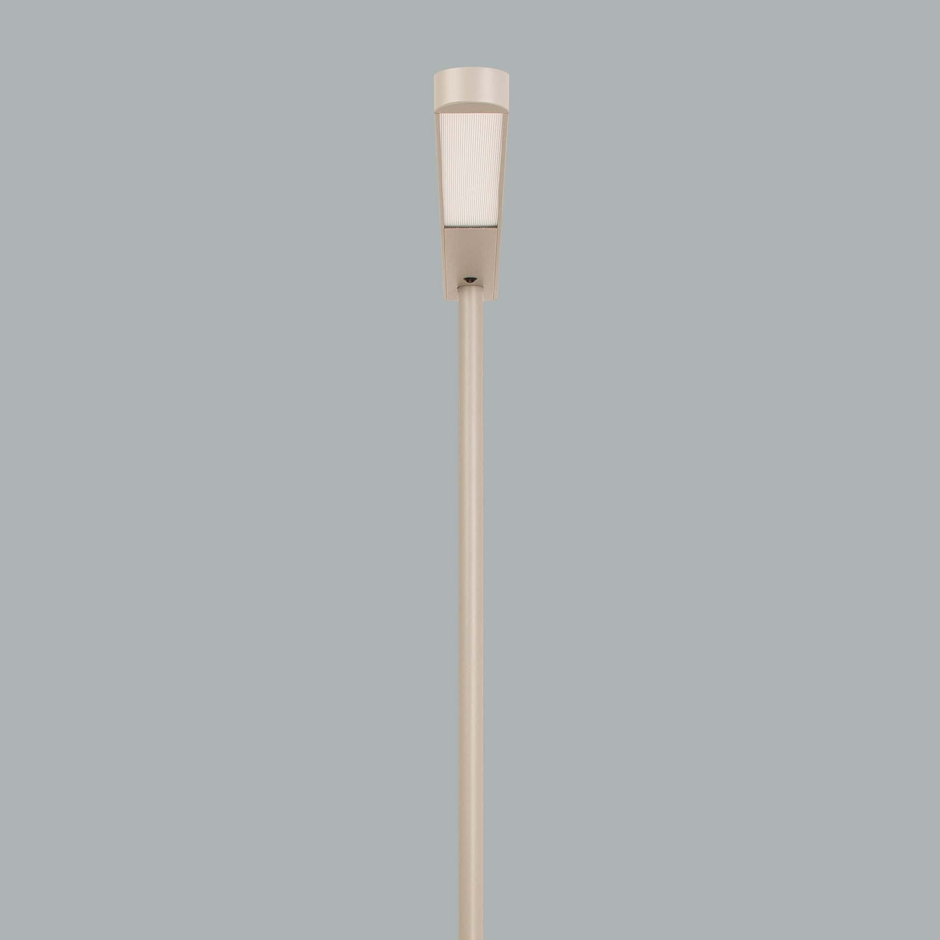 Ege - image 11