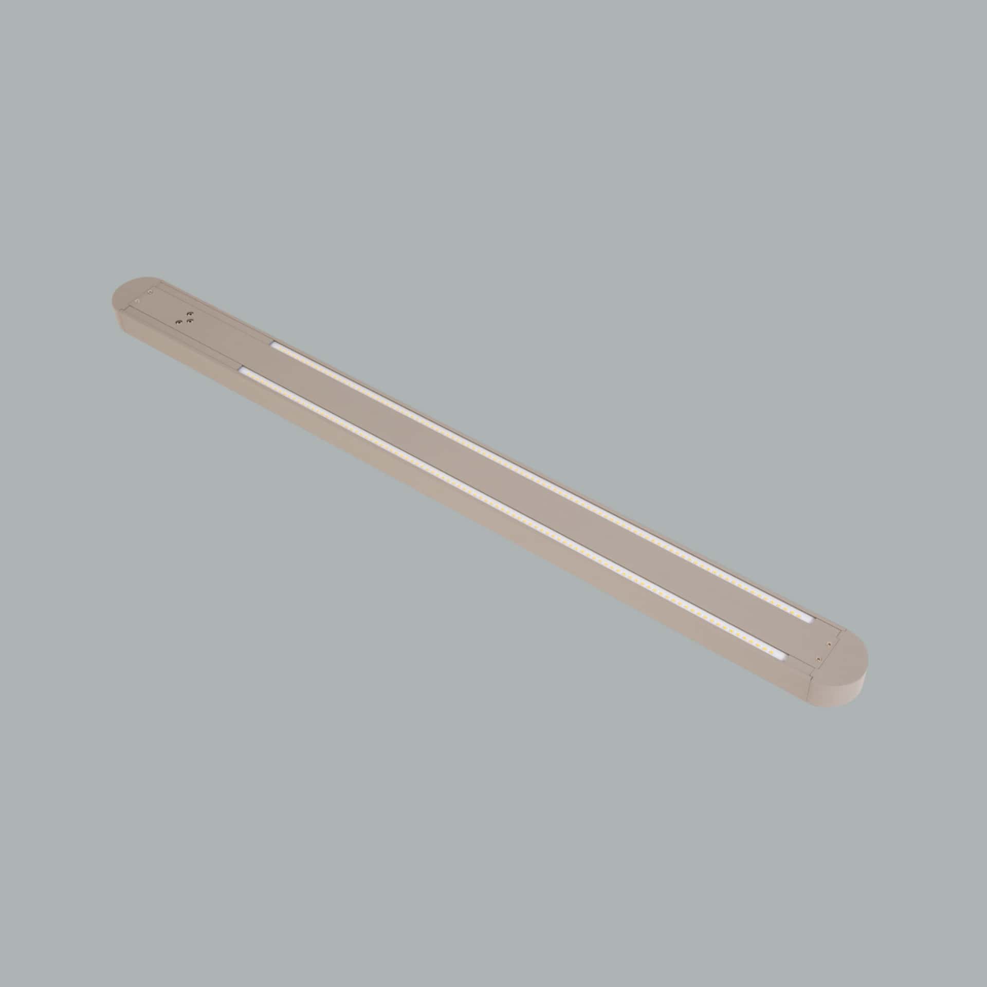 Ege - image 13
