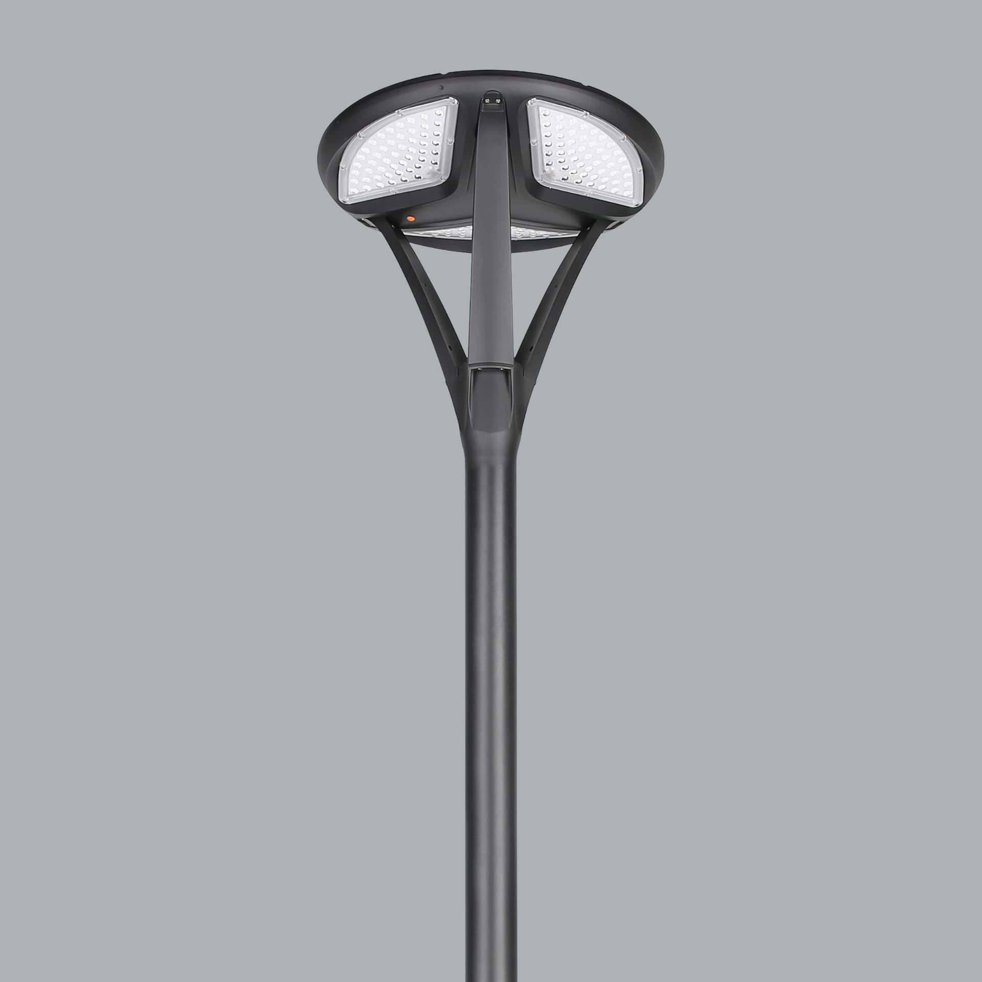 Inka - image 3