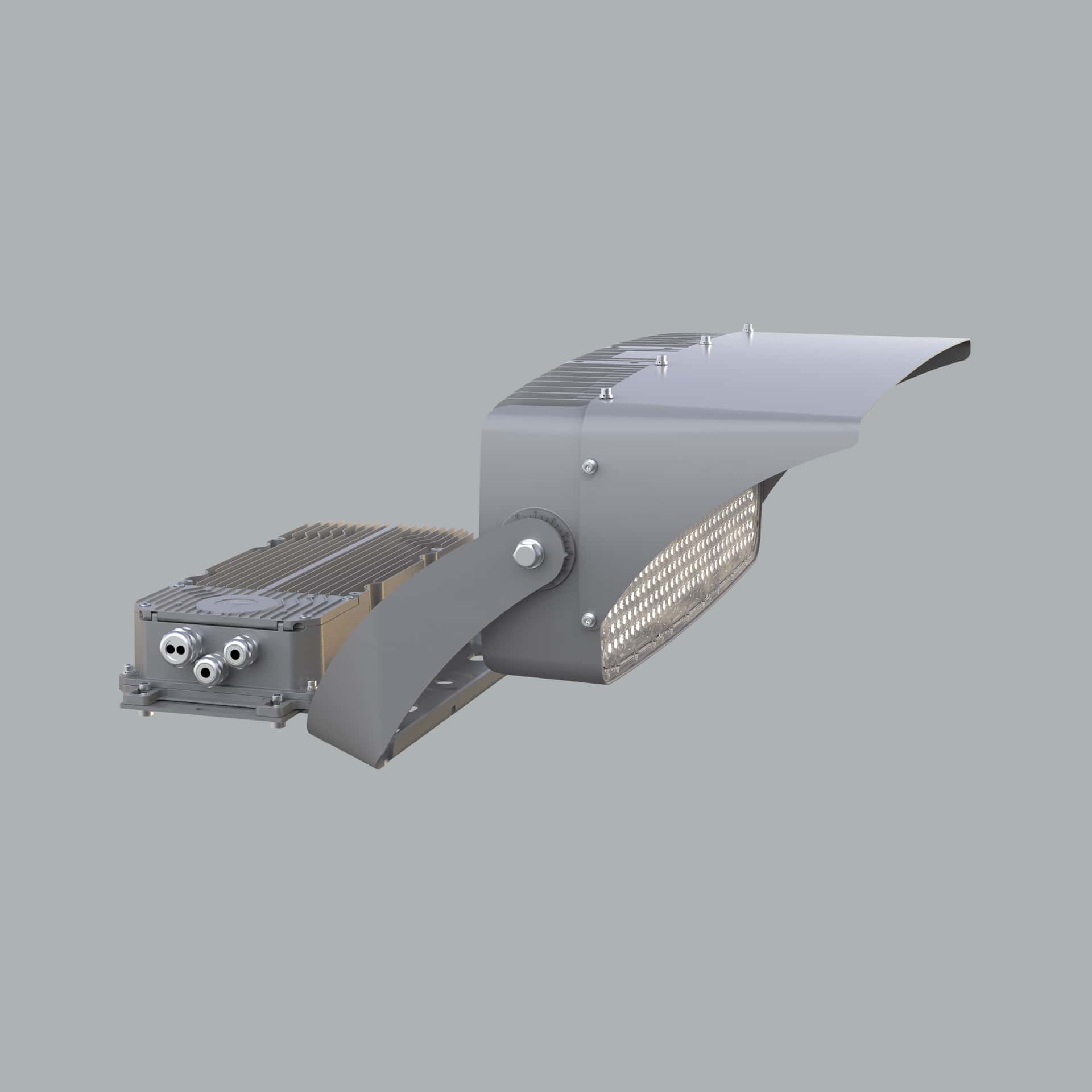 Bizon - image 2