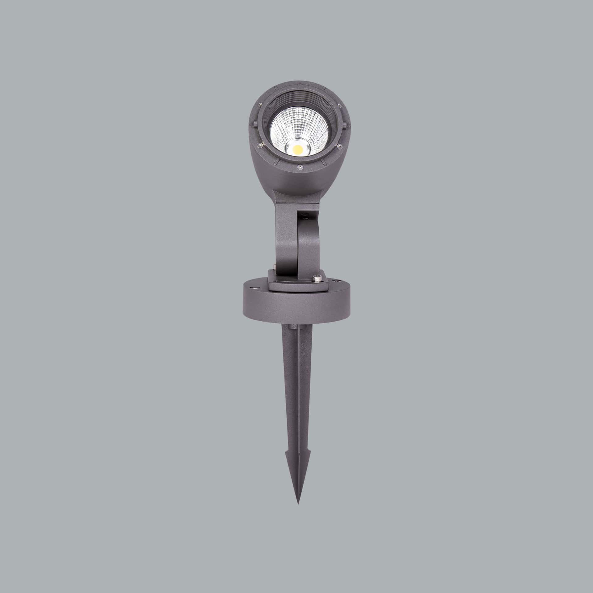 Kami Midi - image 2