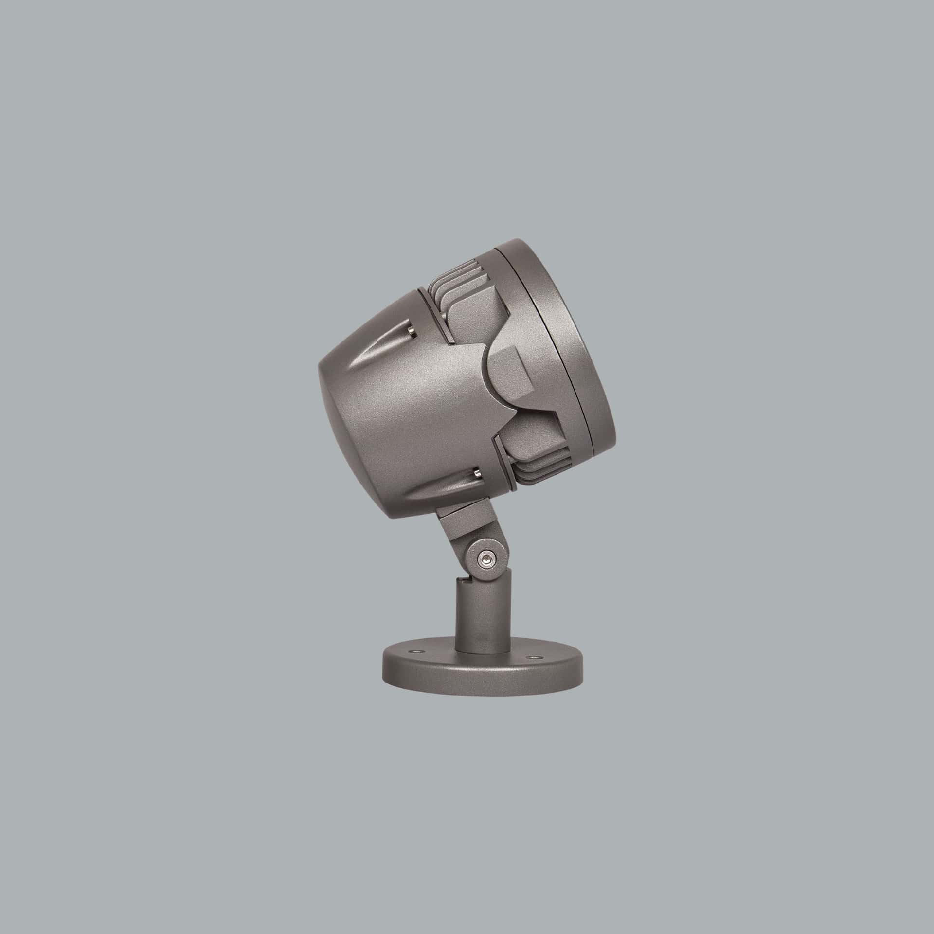 Panda Midi - image 3