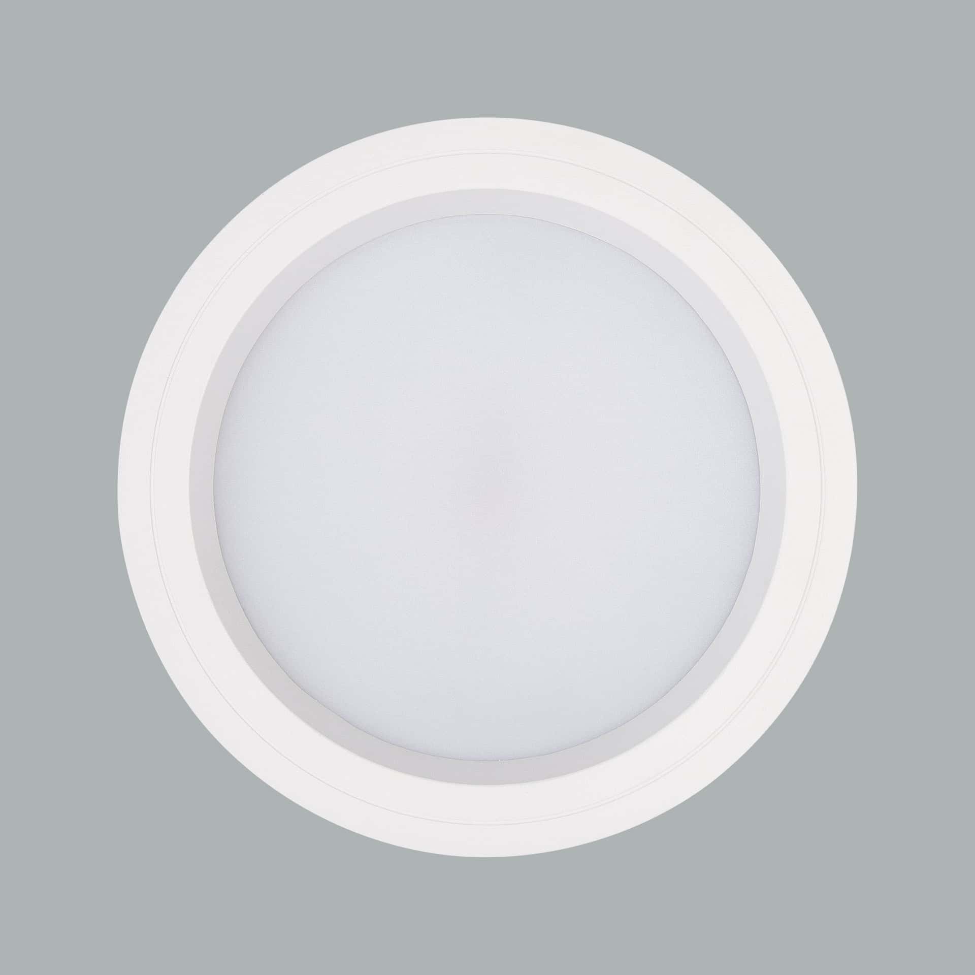 Neptun Mega Downlight - image 3