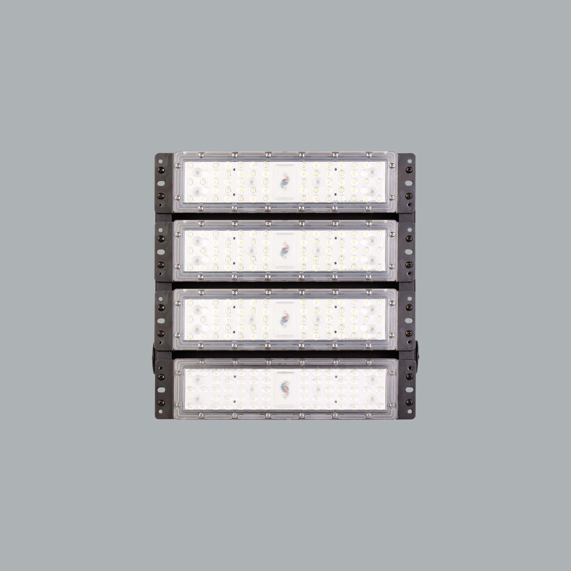 Kanarya - image 2