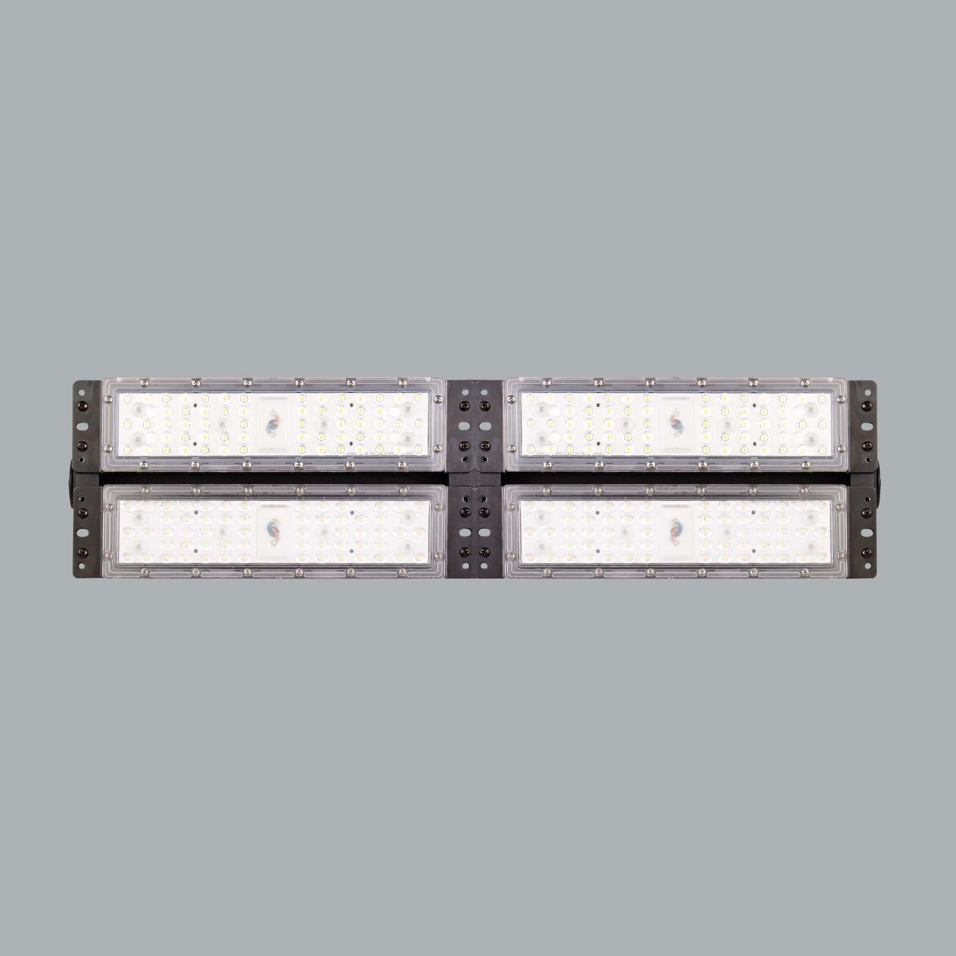 Kanarya - image 2