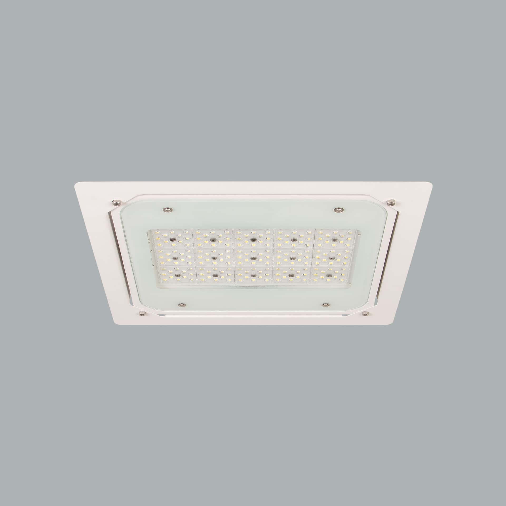 Petrol Canopy - image 2