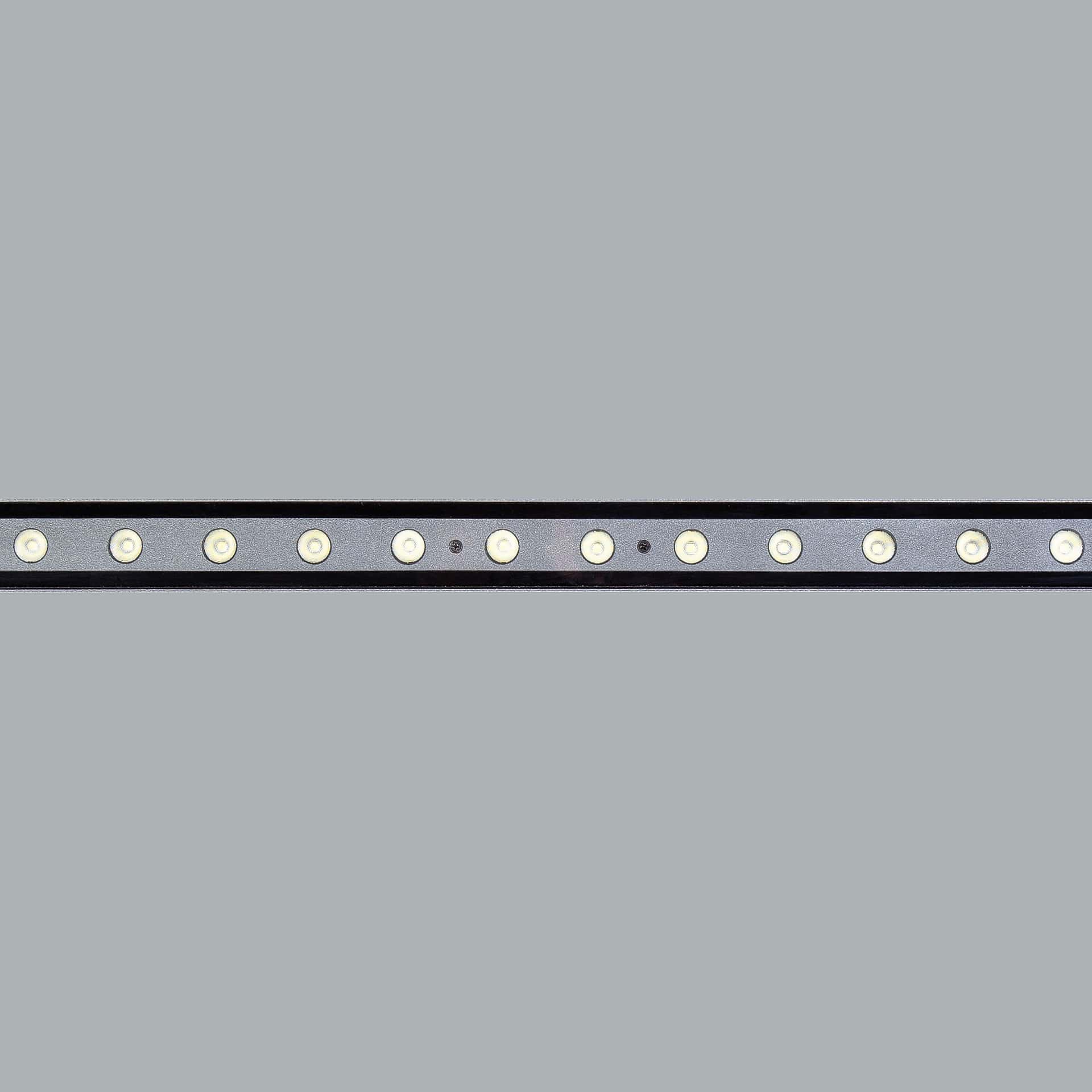 Lightray - image 3