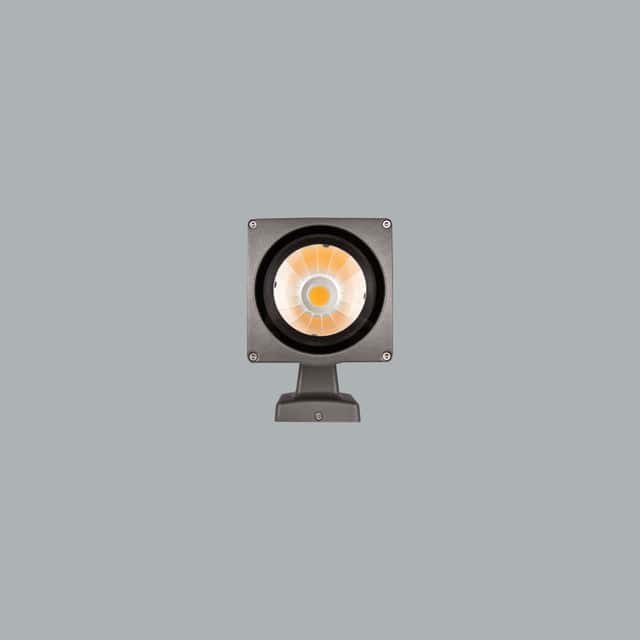 Nemo (O07.WA.00074) | AVOLUX