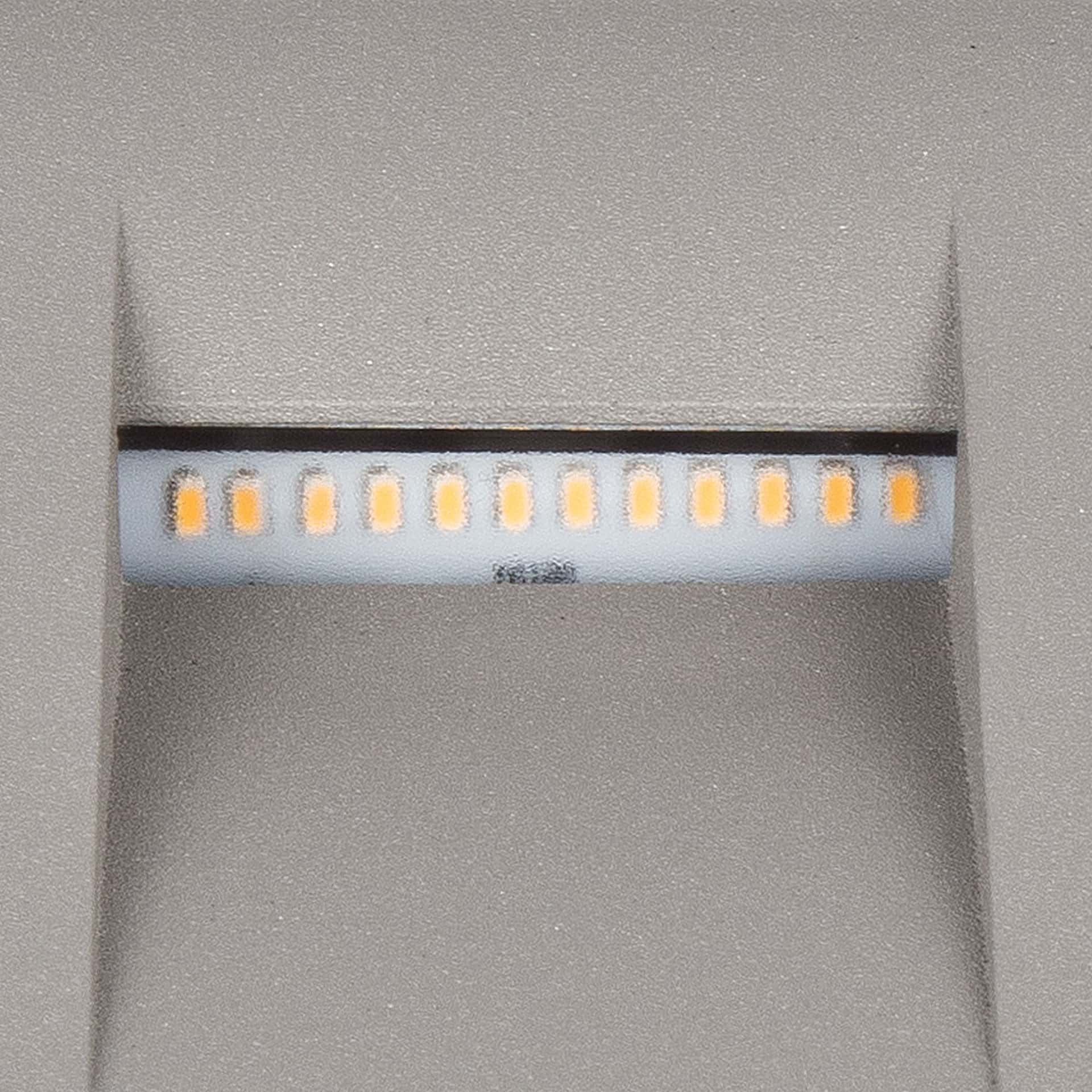 Giz - image 4