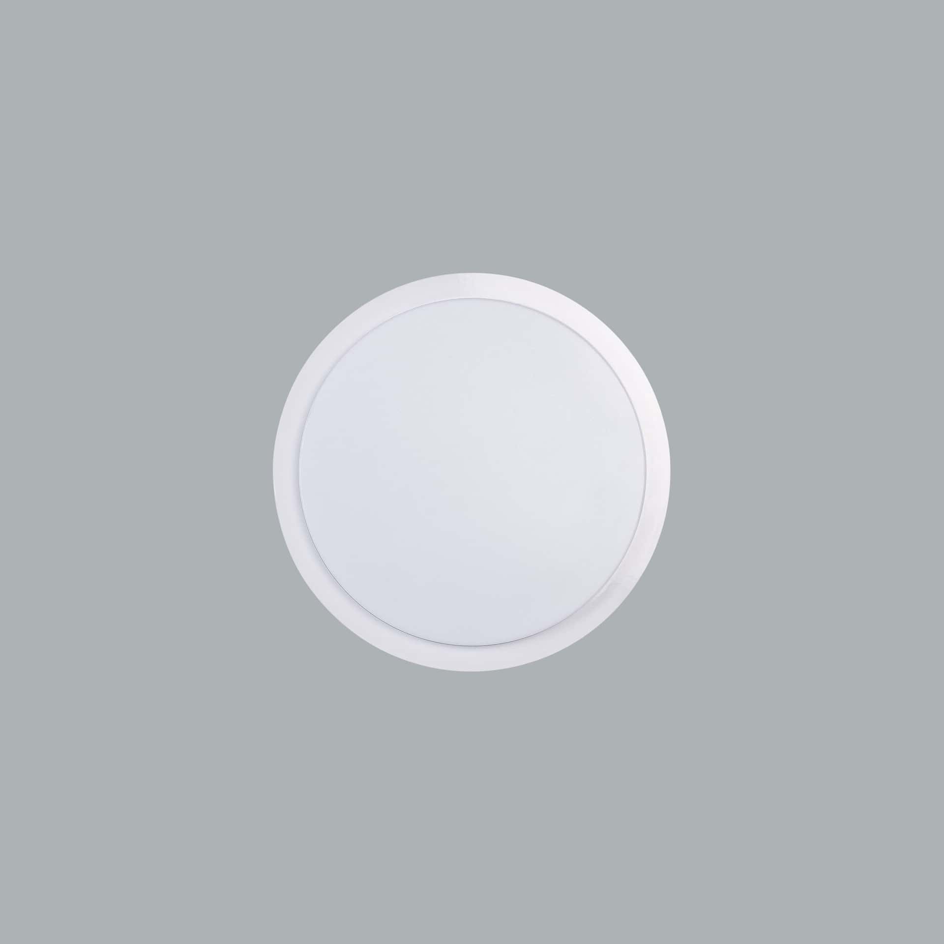 Beta - image 2