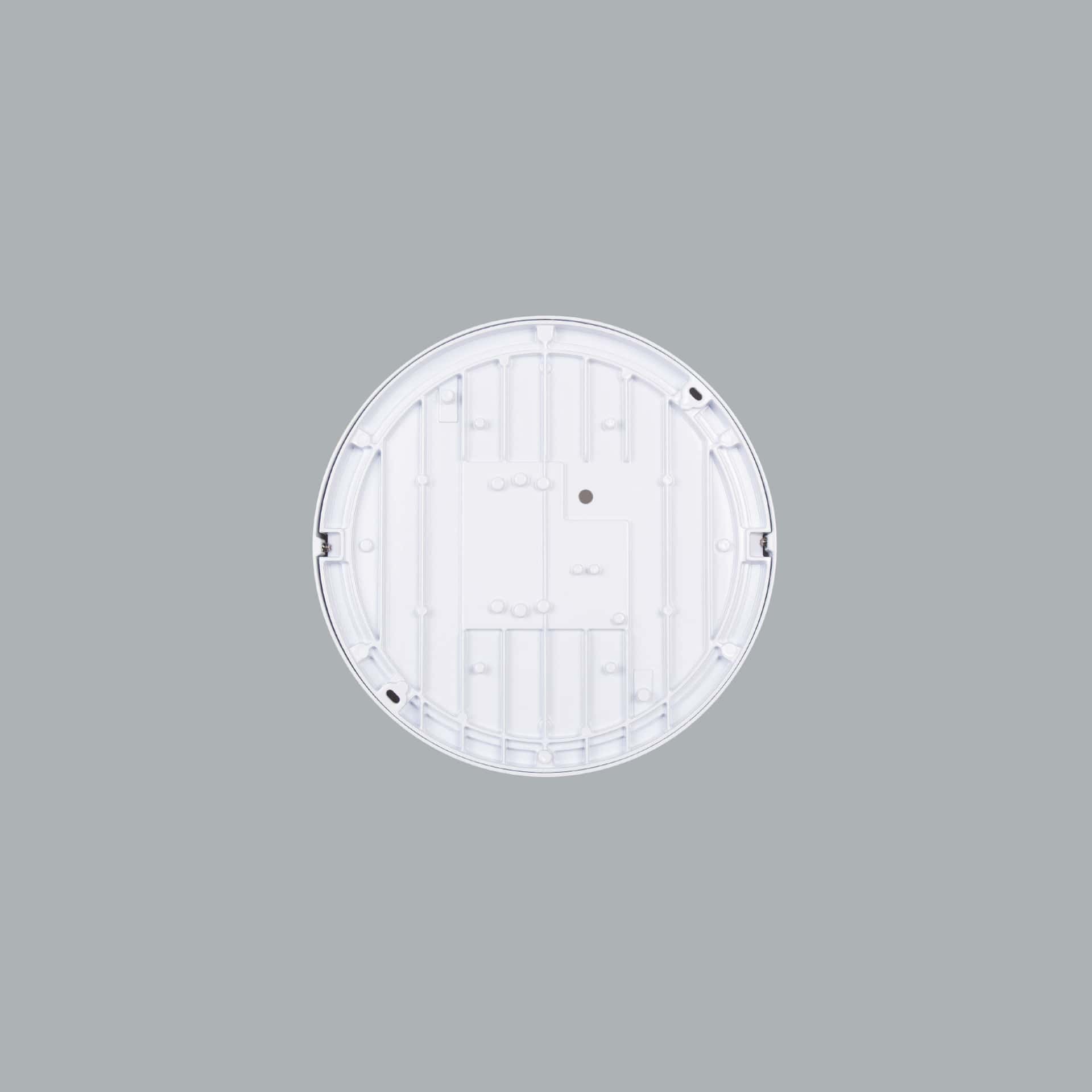 Beta - image 4