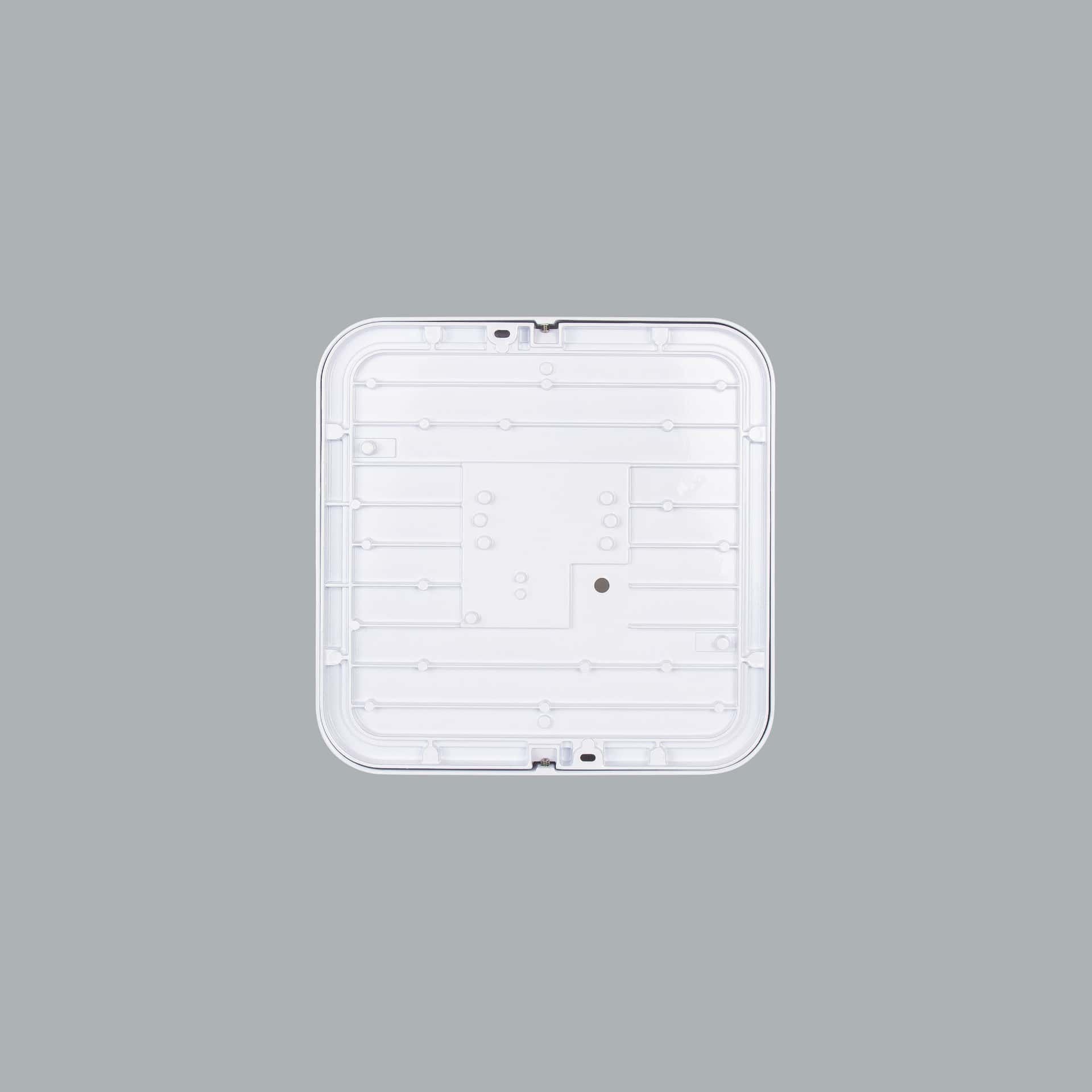 Beta - image 4