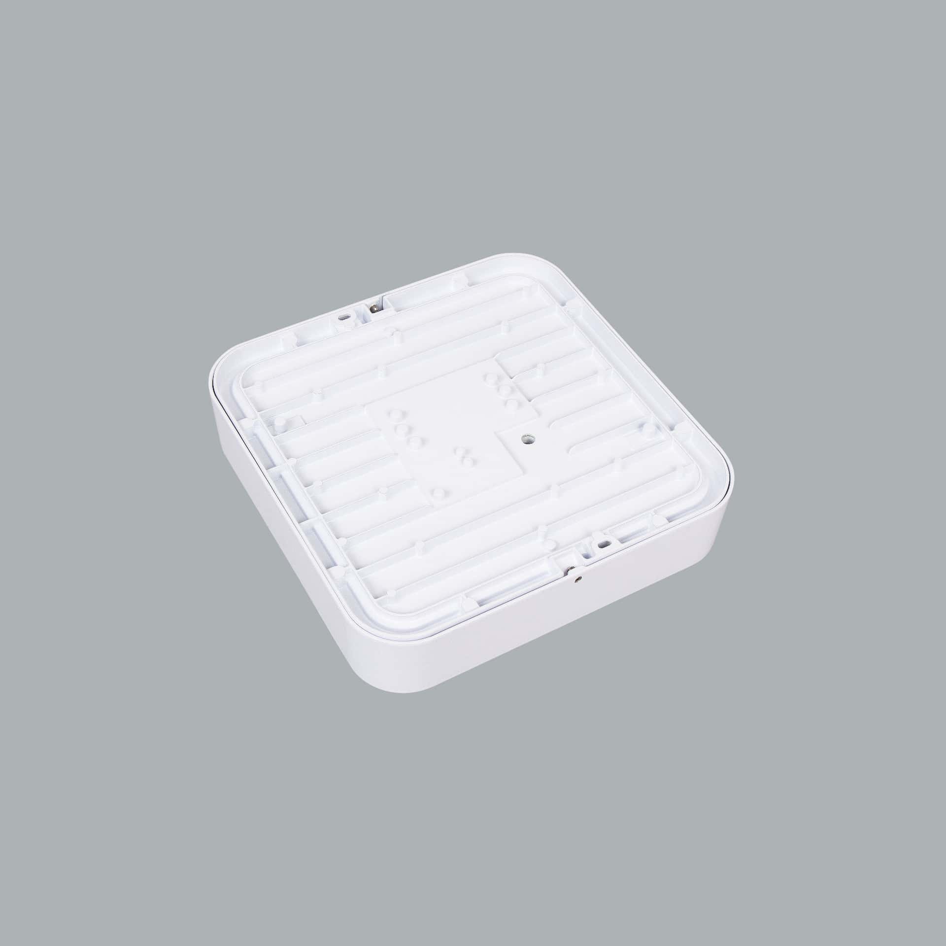 Beta - image 5