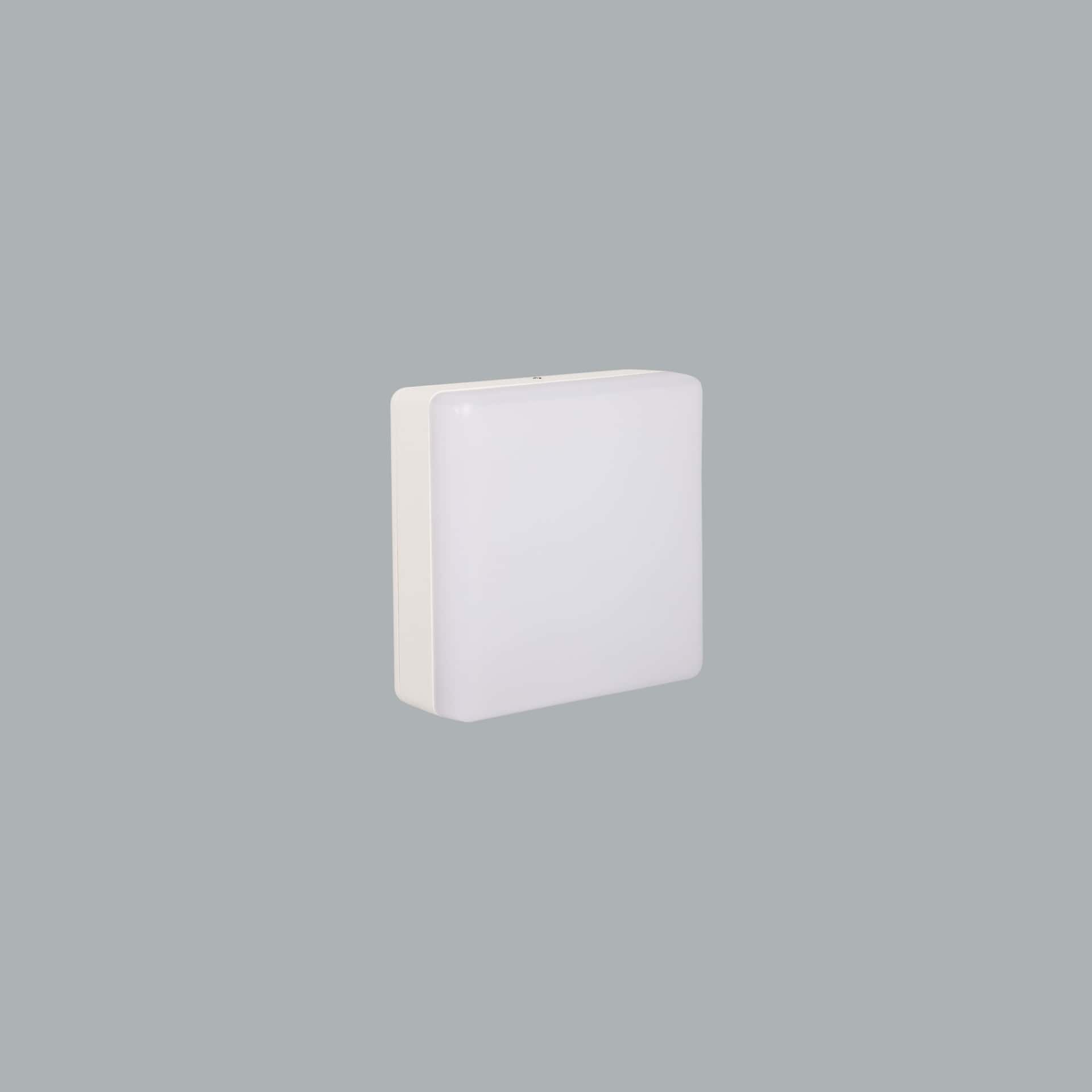 Gama - image 2