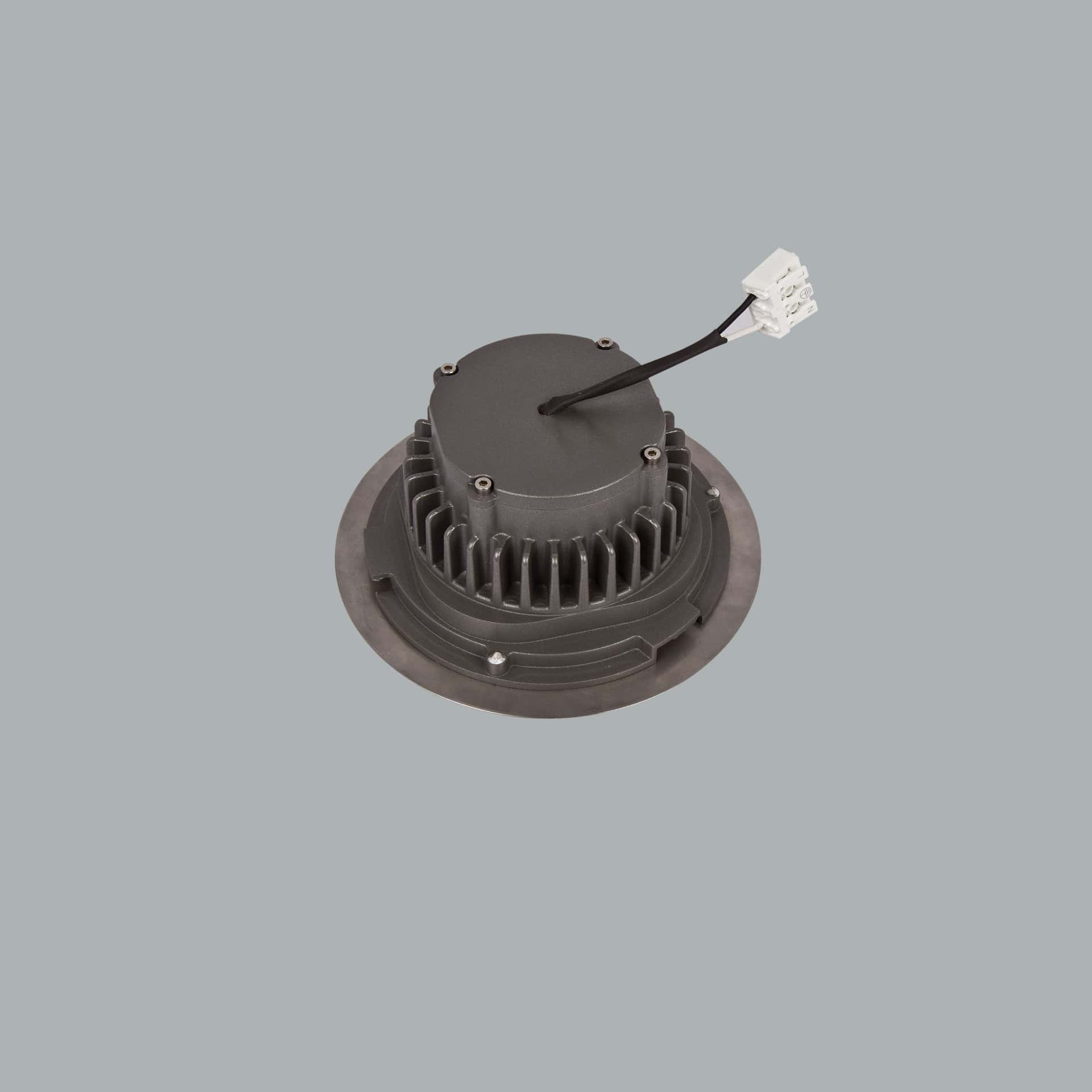 Flora Midi ASM - image 2