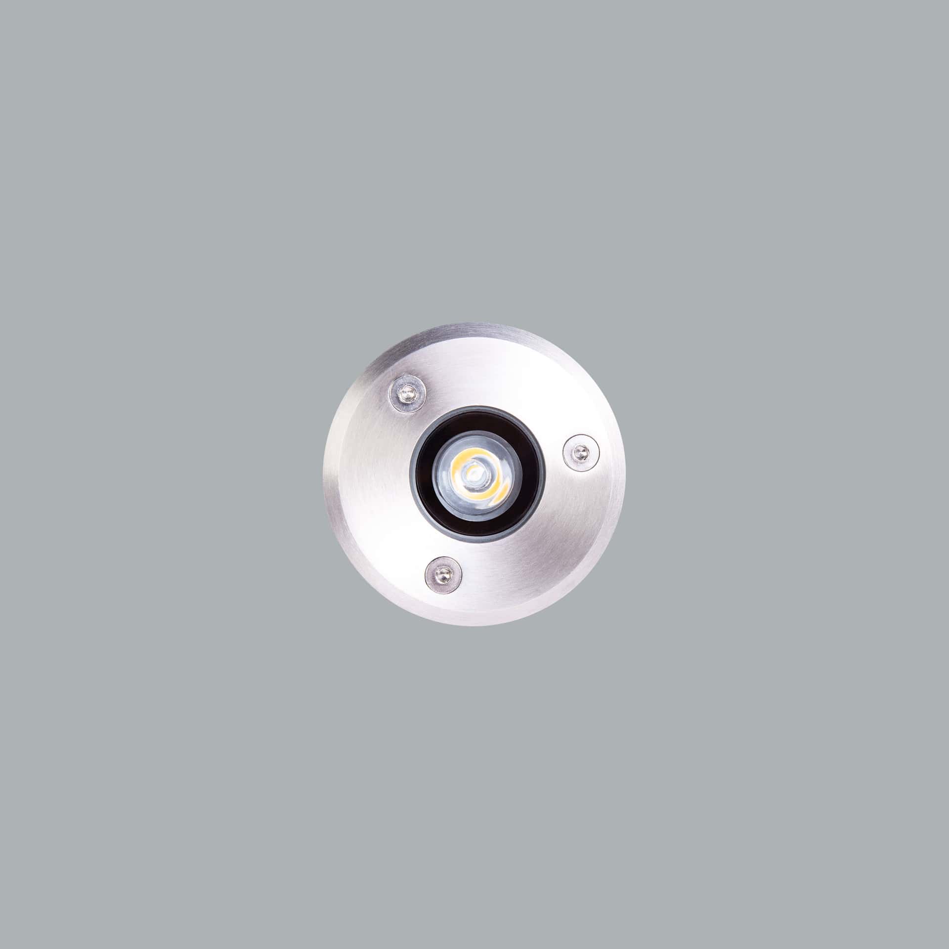 Pinto - image 2