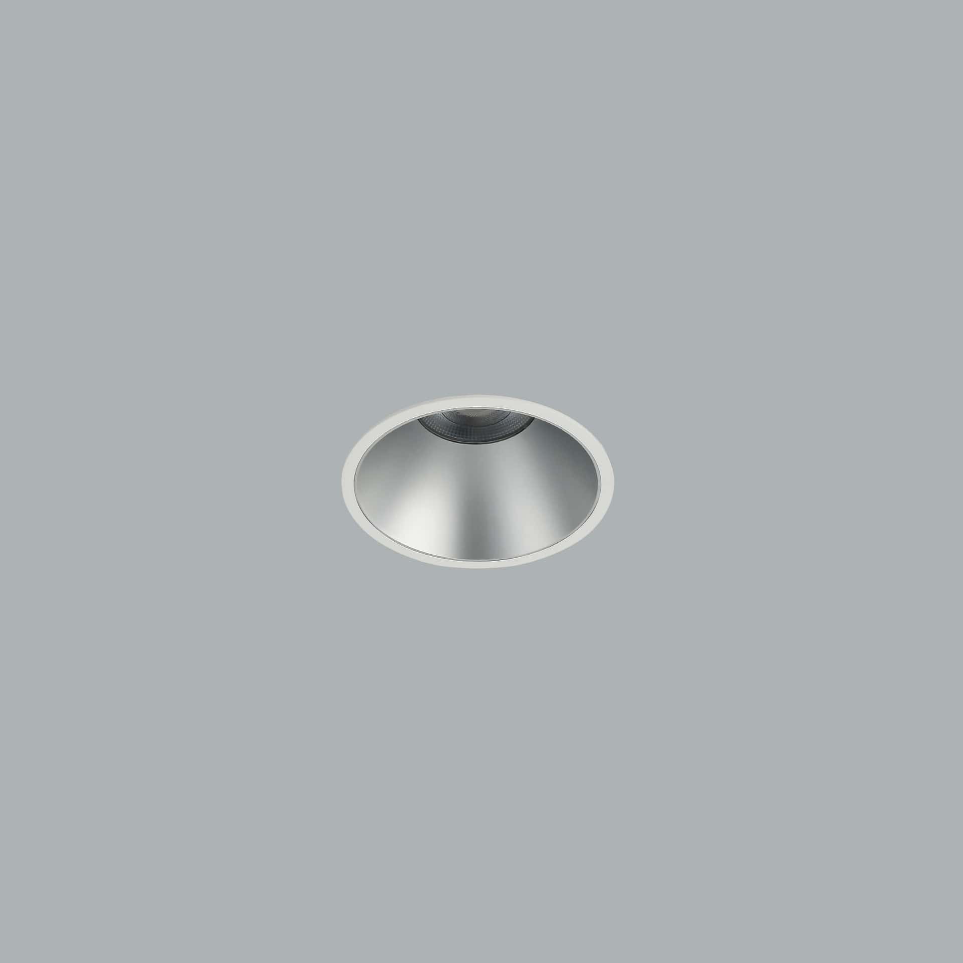 Royal 136 IP - Bild 2